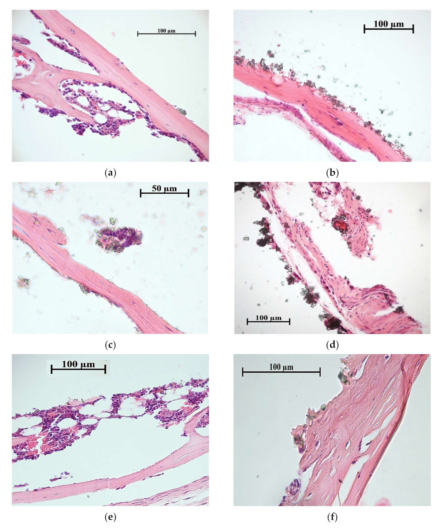 Materials 13 04366 g008