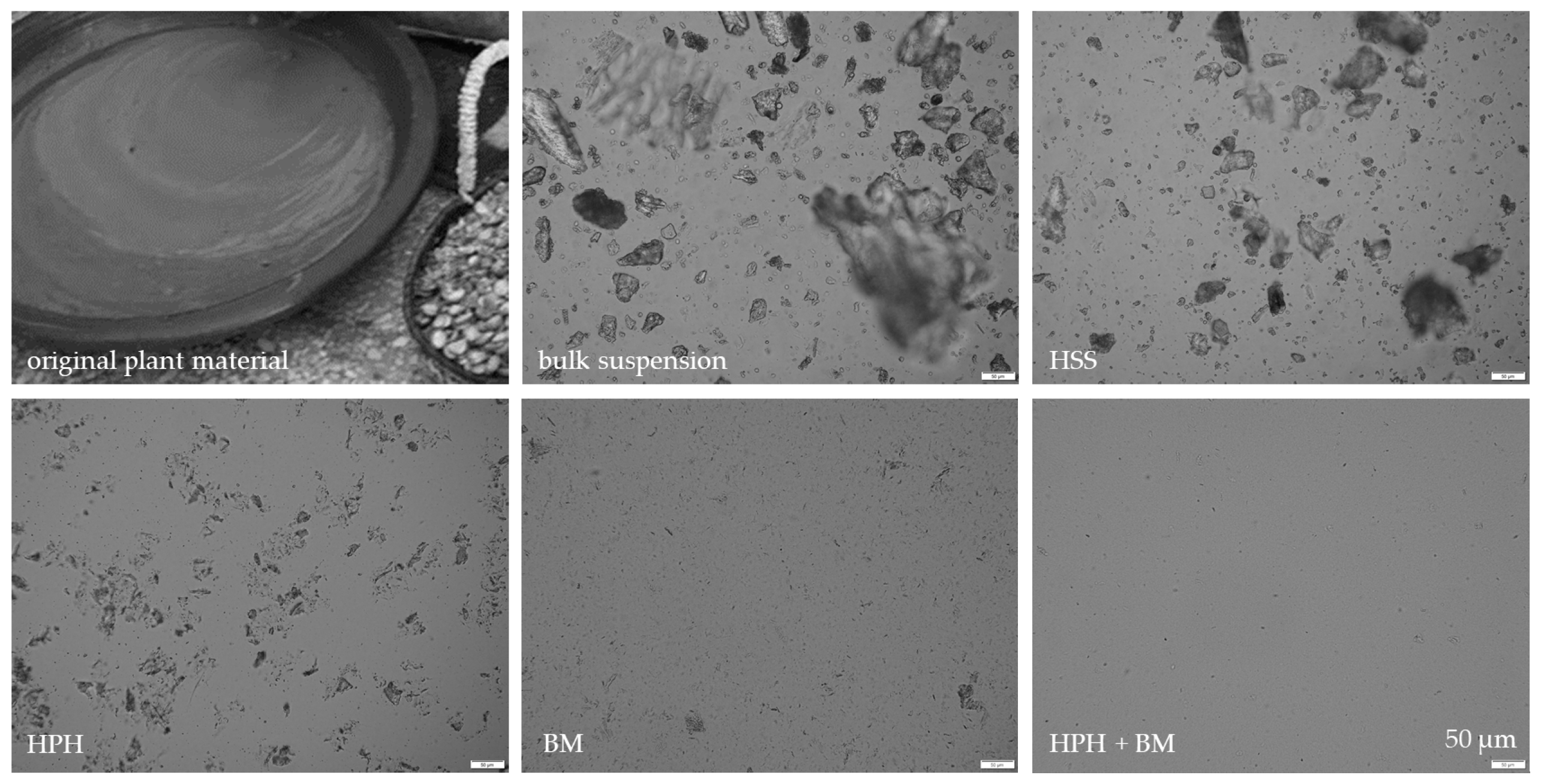 Materials 13 04368 g013 Materials 13 04368 g013