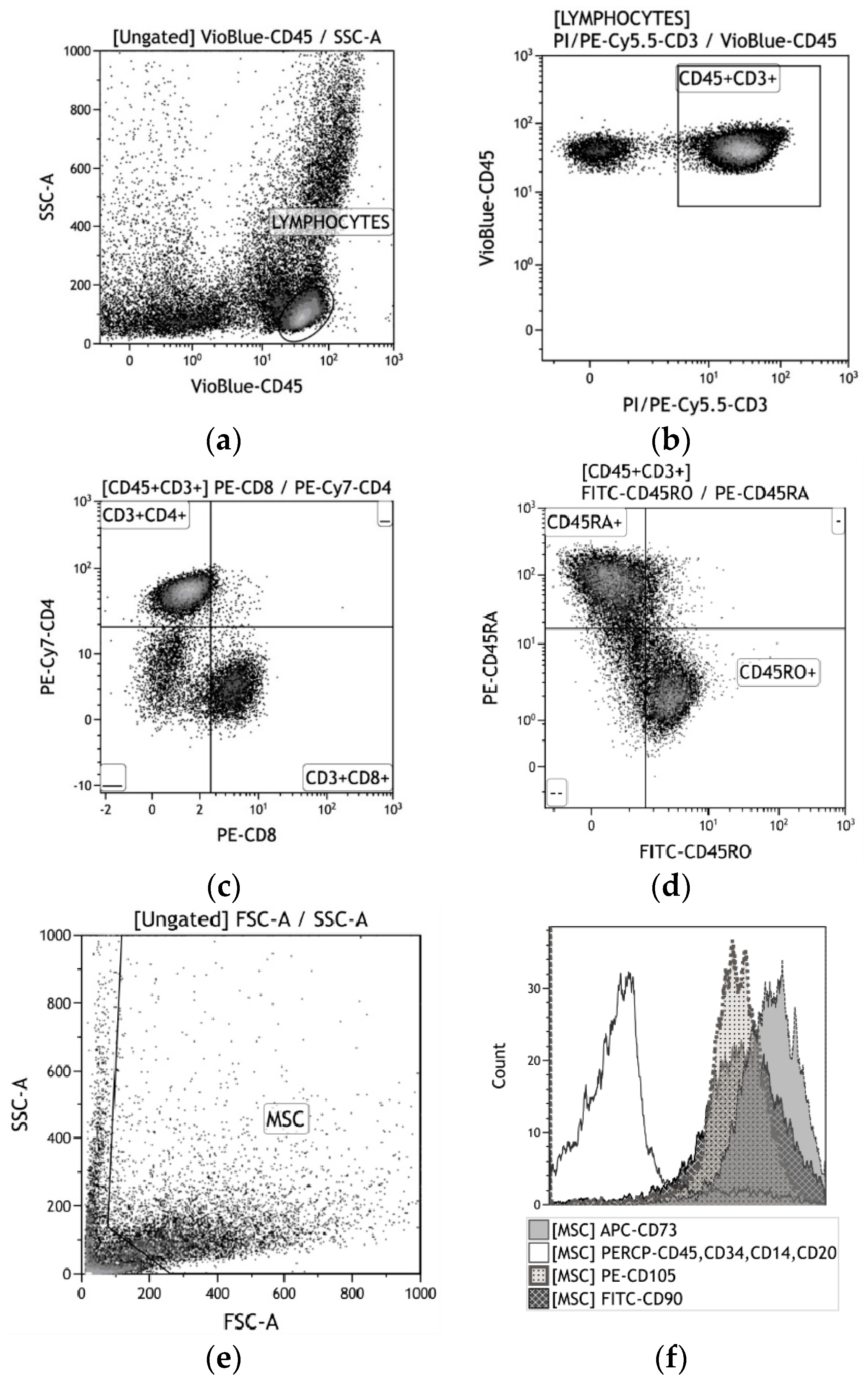 Materials 13 04398 g002 Materials 13 04398 g002