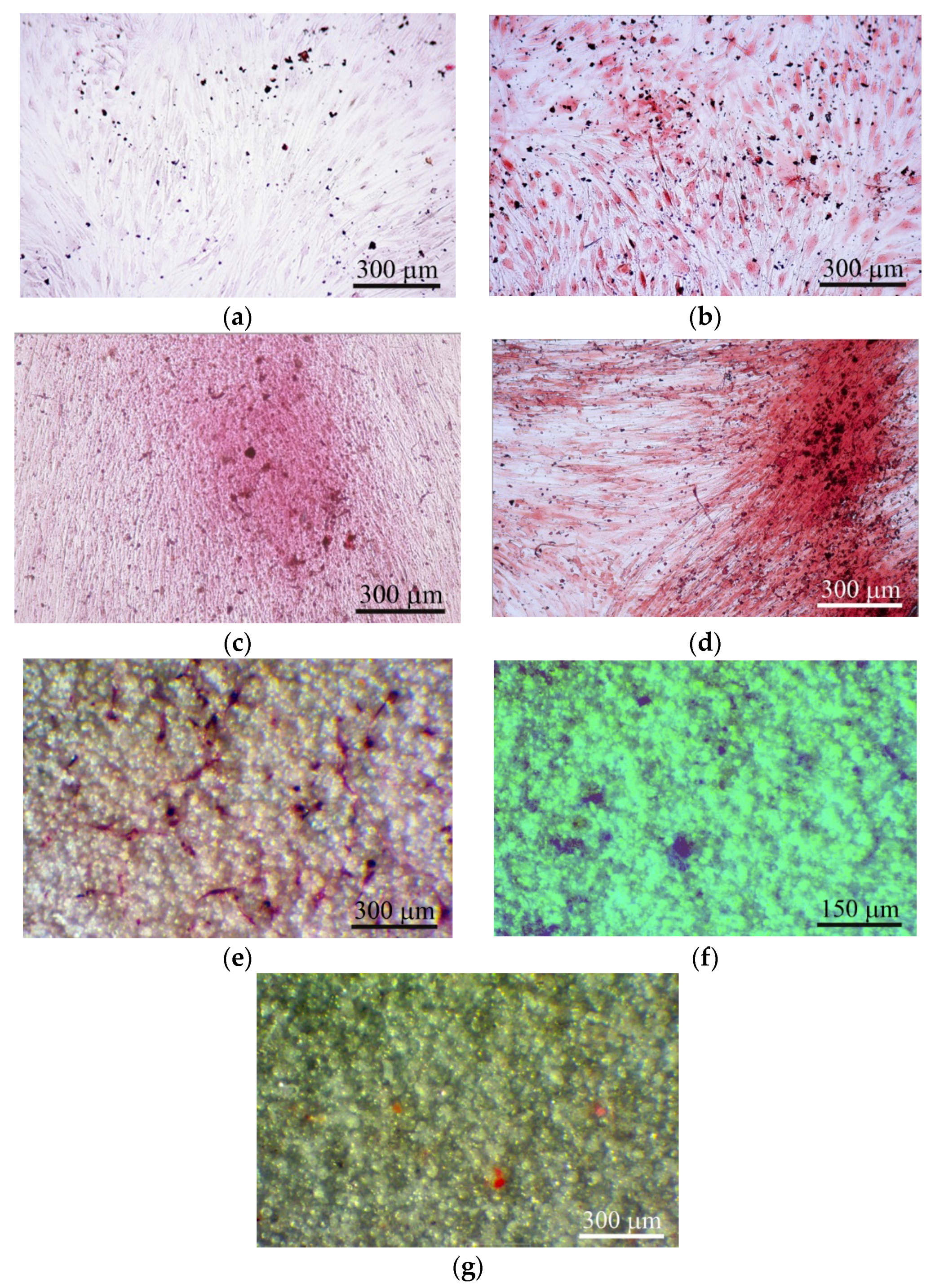 Materials 13 04398 g005 Materials 13 04398 g005