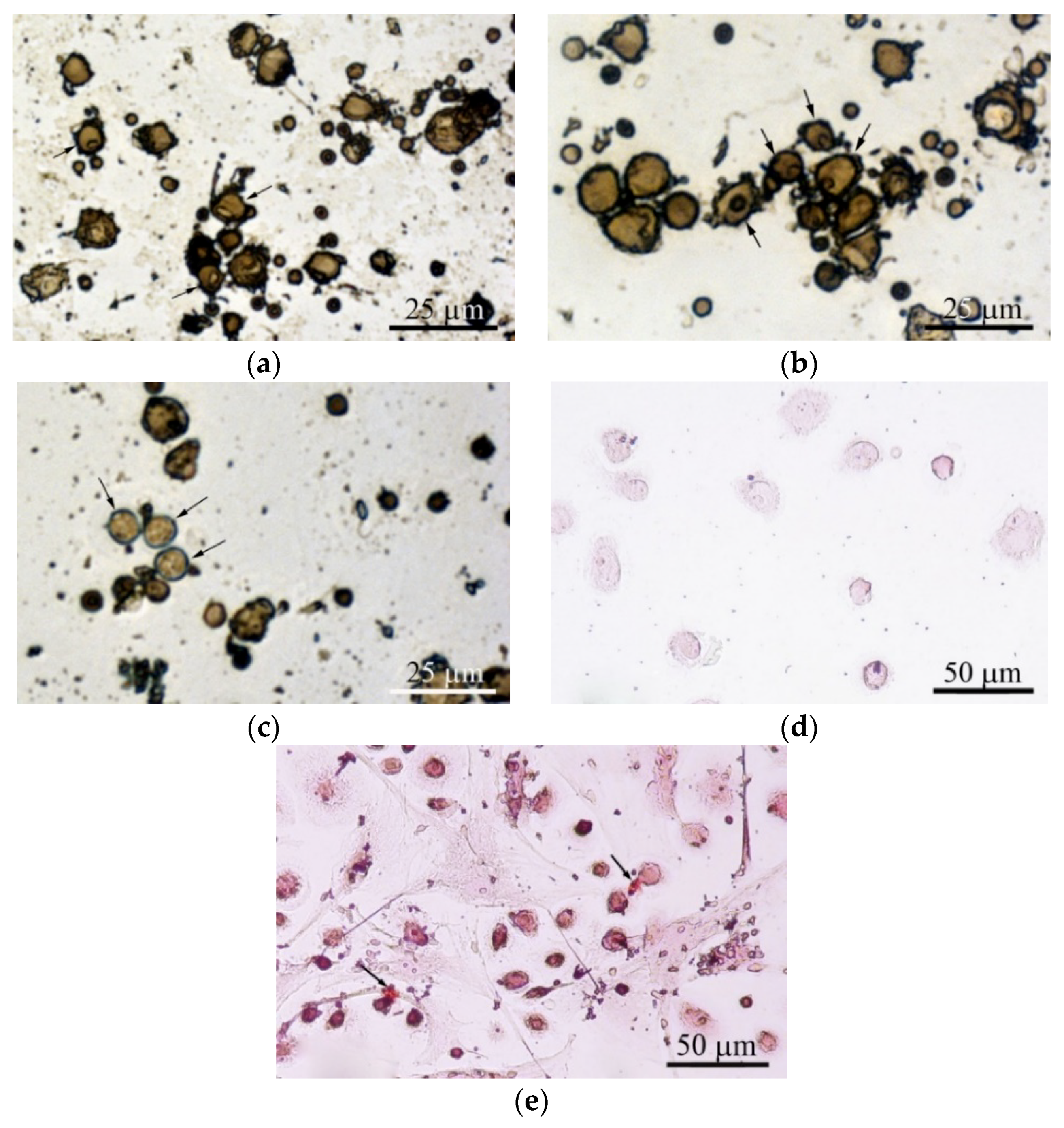 Materials 13 04398 g006 Materials 13 04398 g006