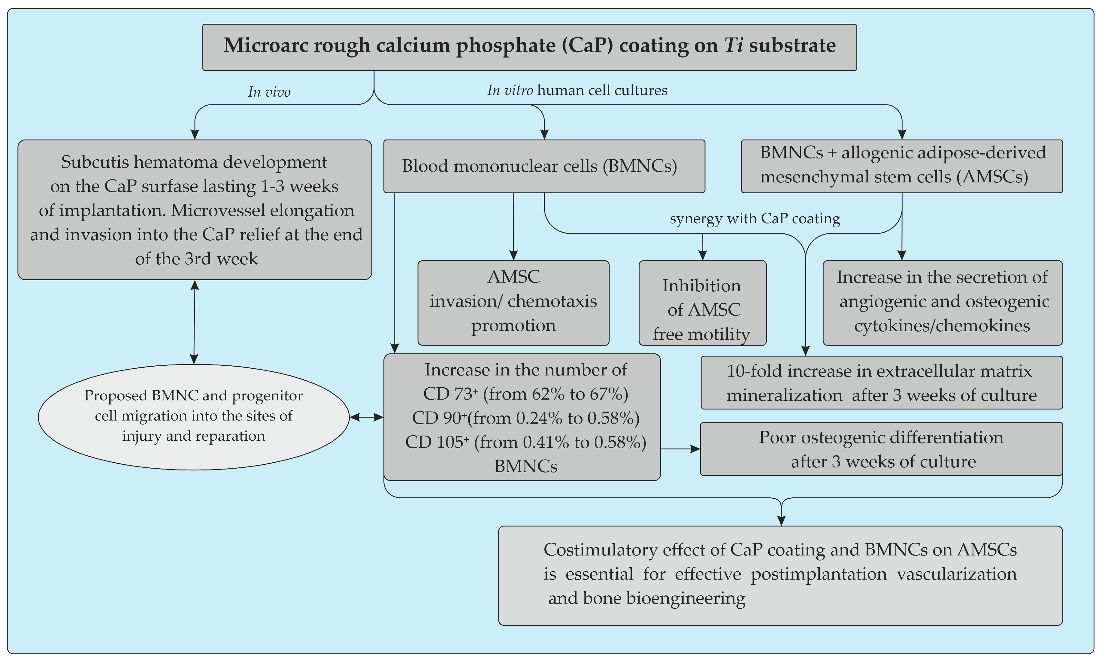 Materials 13 04398 g009 Materials 13 04398 g009