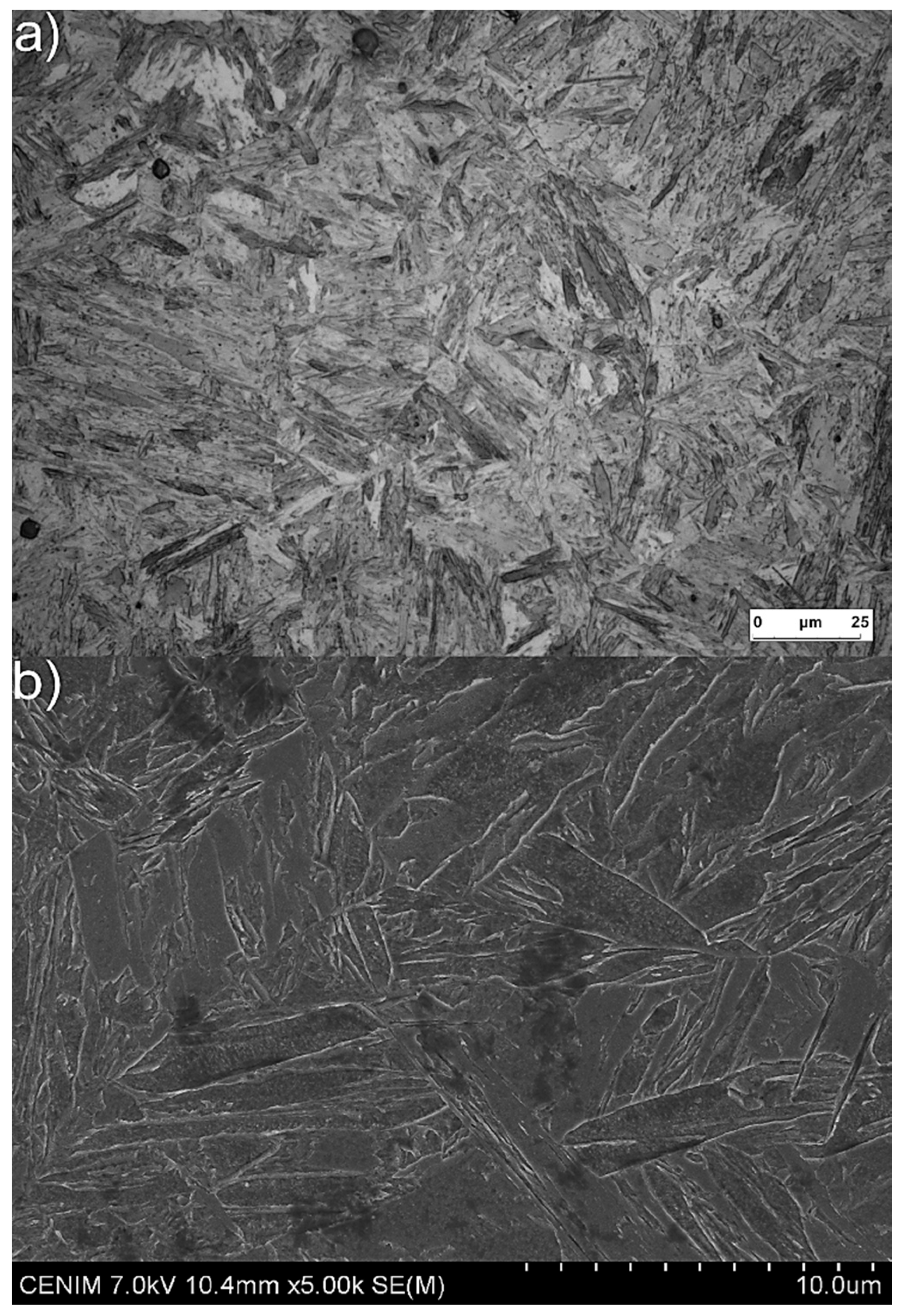 Materials 13 04442 g006