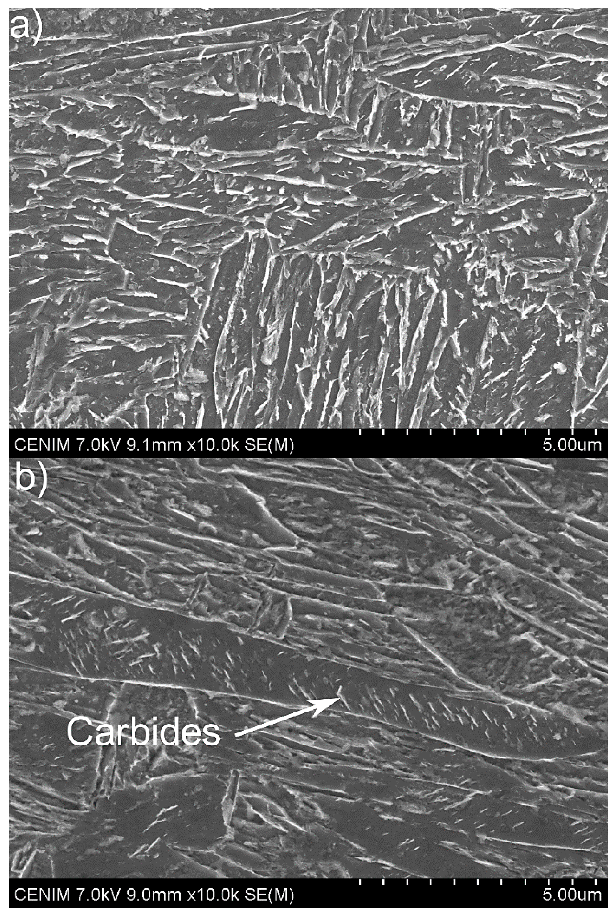 Materials 13 04442 g007