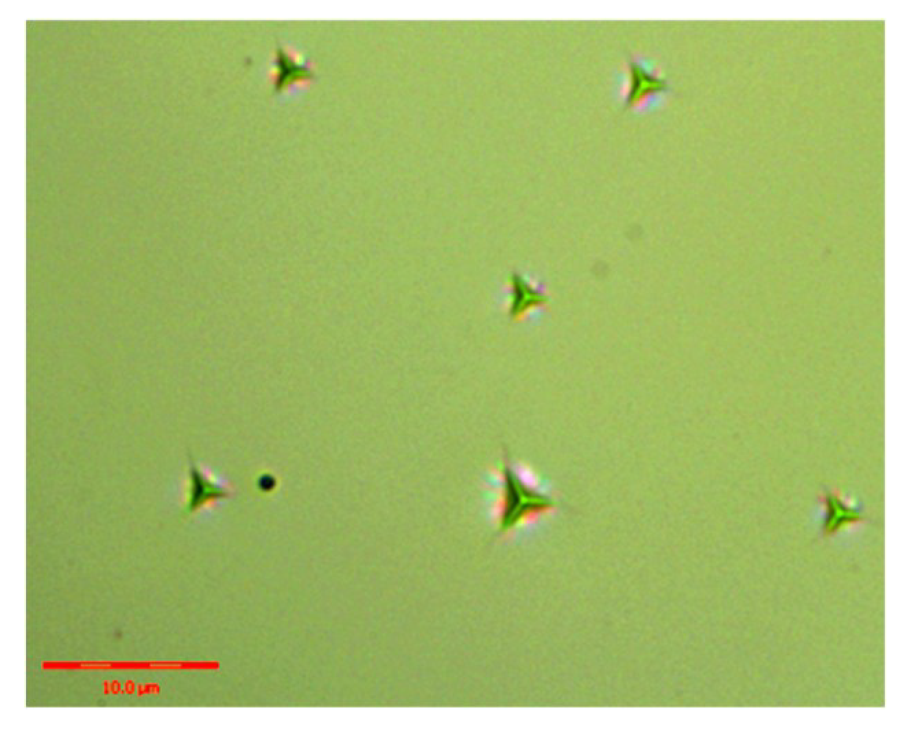 Materials 13 04455 g006