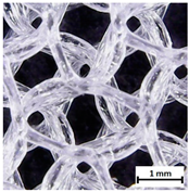 Materials 13 04457 i011