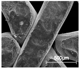 Materials 13 04457 i013