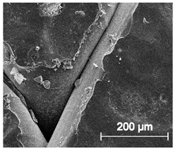 Materials 13 04457 i016