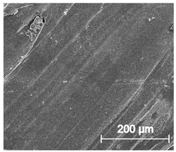 Materials 13 04457 i018