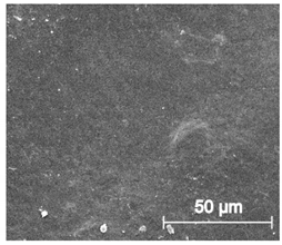 Materials 13 04457 i019