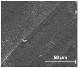 Materials 13 04457 i020