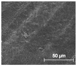 Materials 13 04457 i021