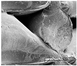 Materials 13 04457 i025