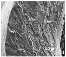 Materials 13 04457 i028