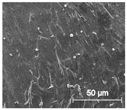 Materials 13 04457 i029