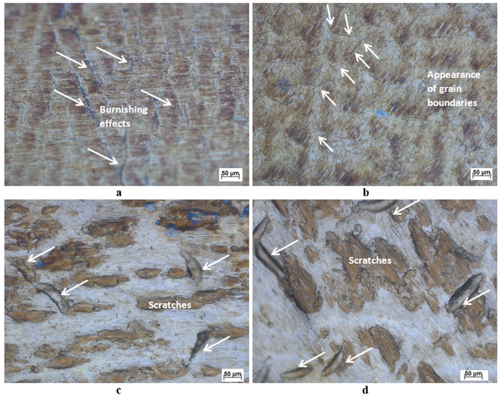 Materials 13 04465 g006