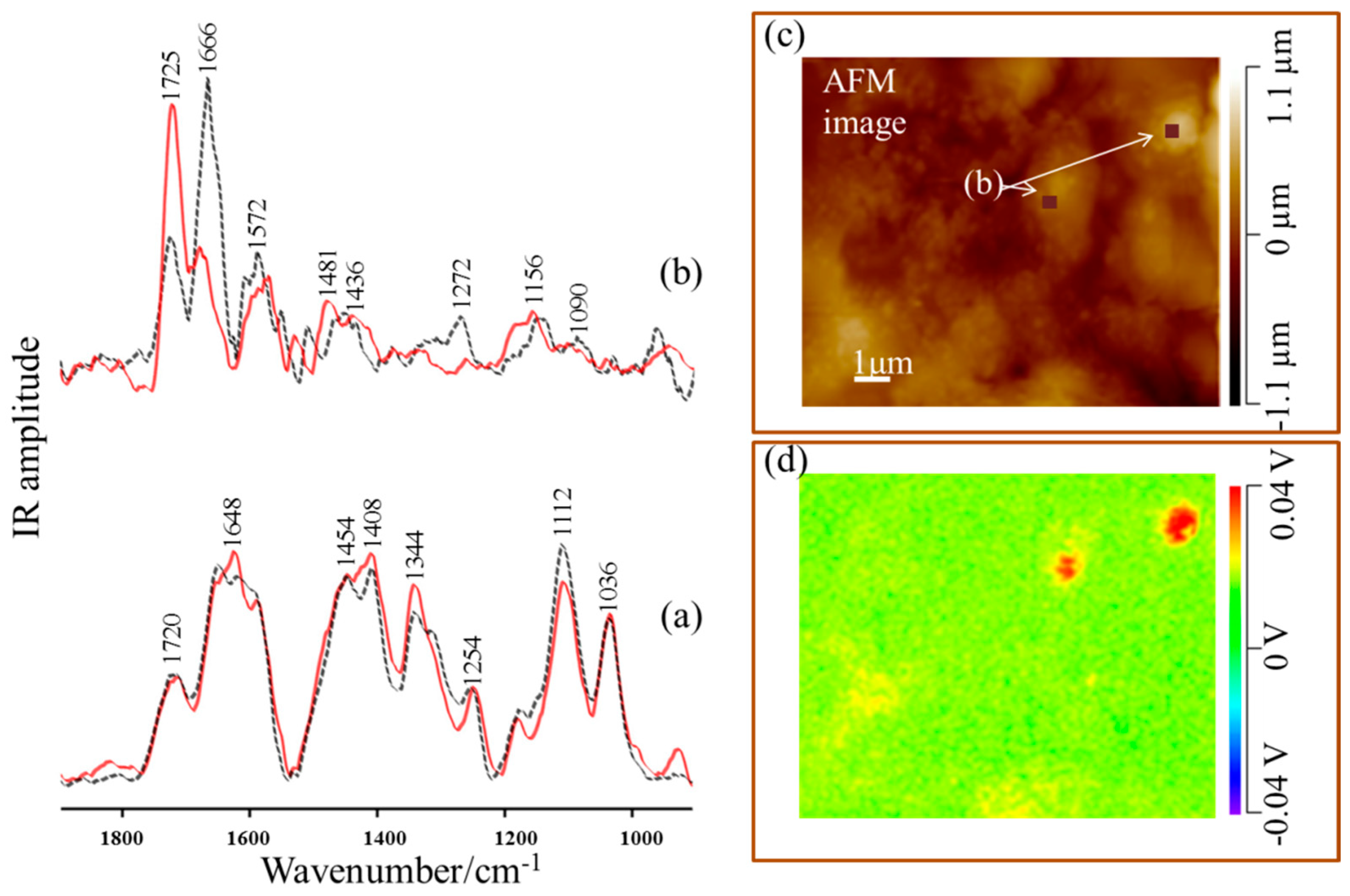 Materials 13 04482 g005