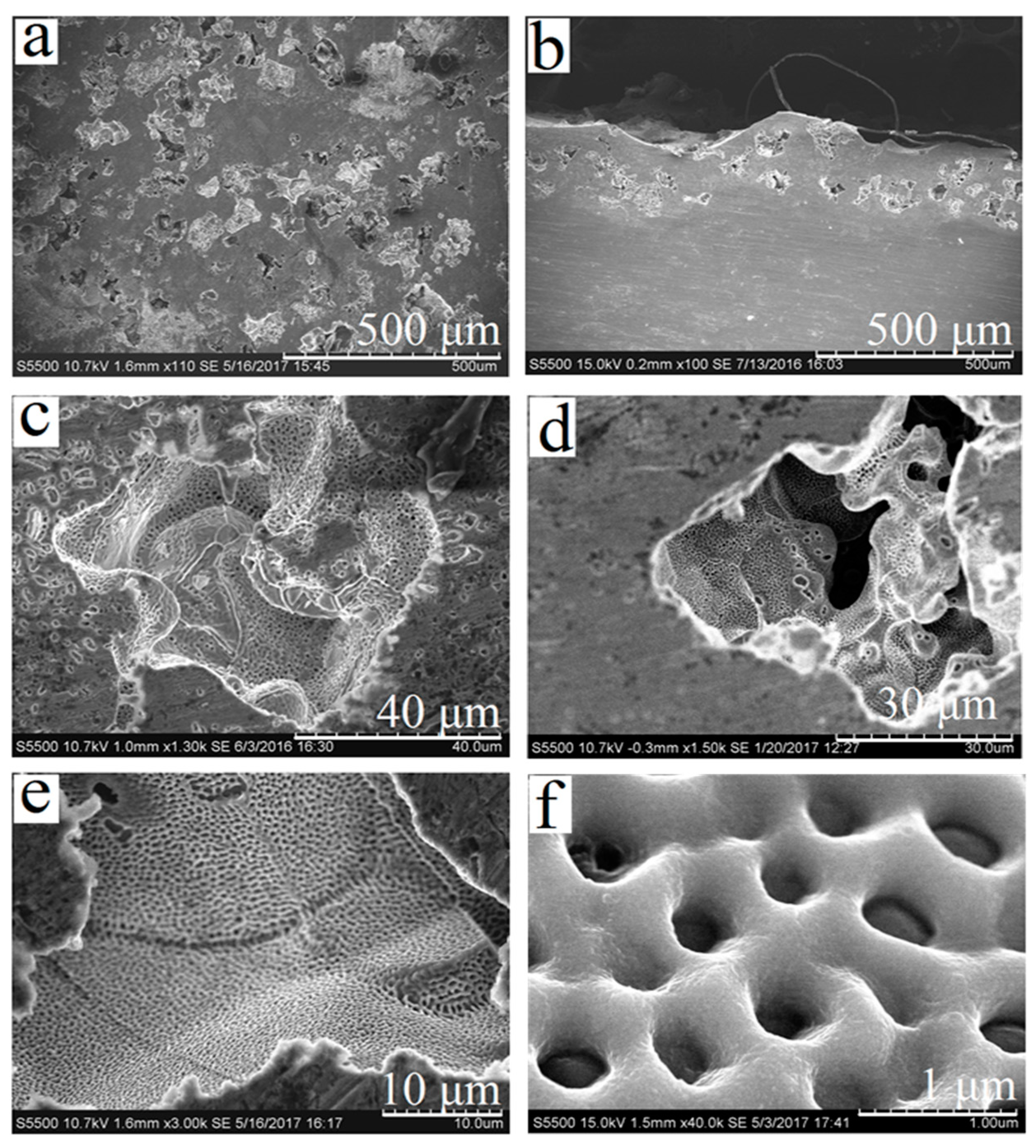 Materials 13 04493 g001