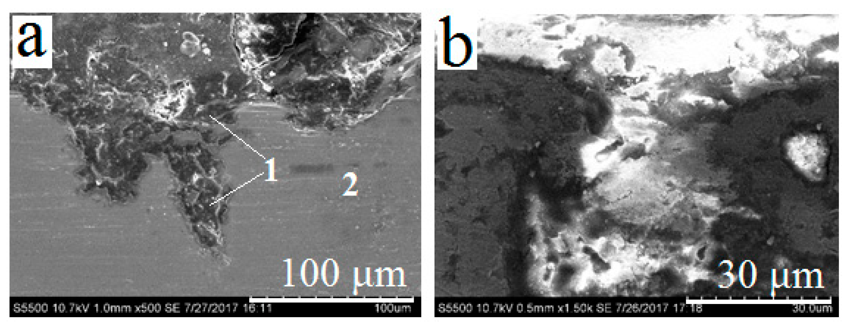 Materials 13 04493 g005