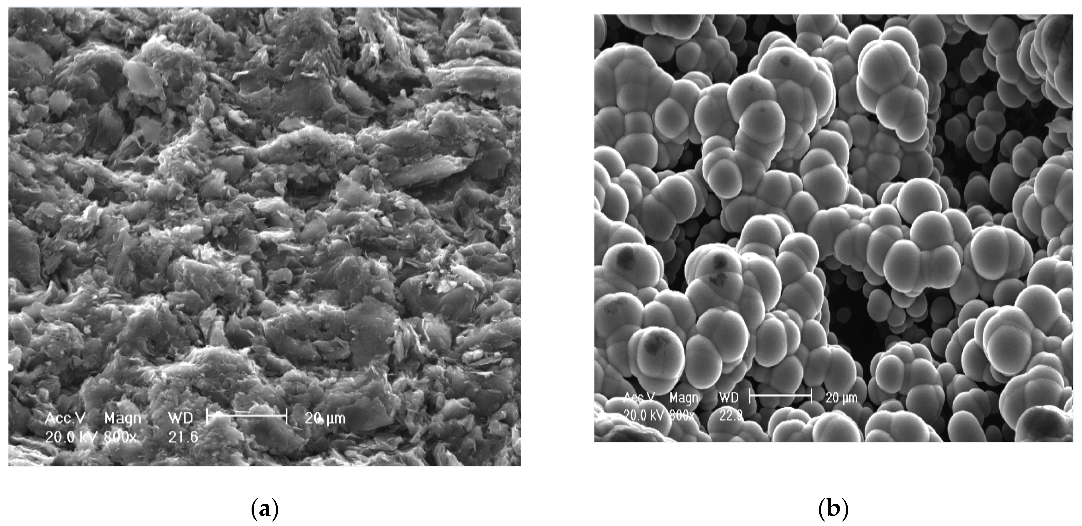 Materials 13 04524 g004