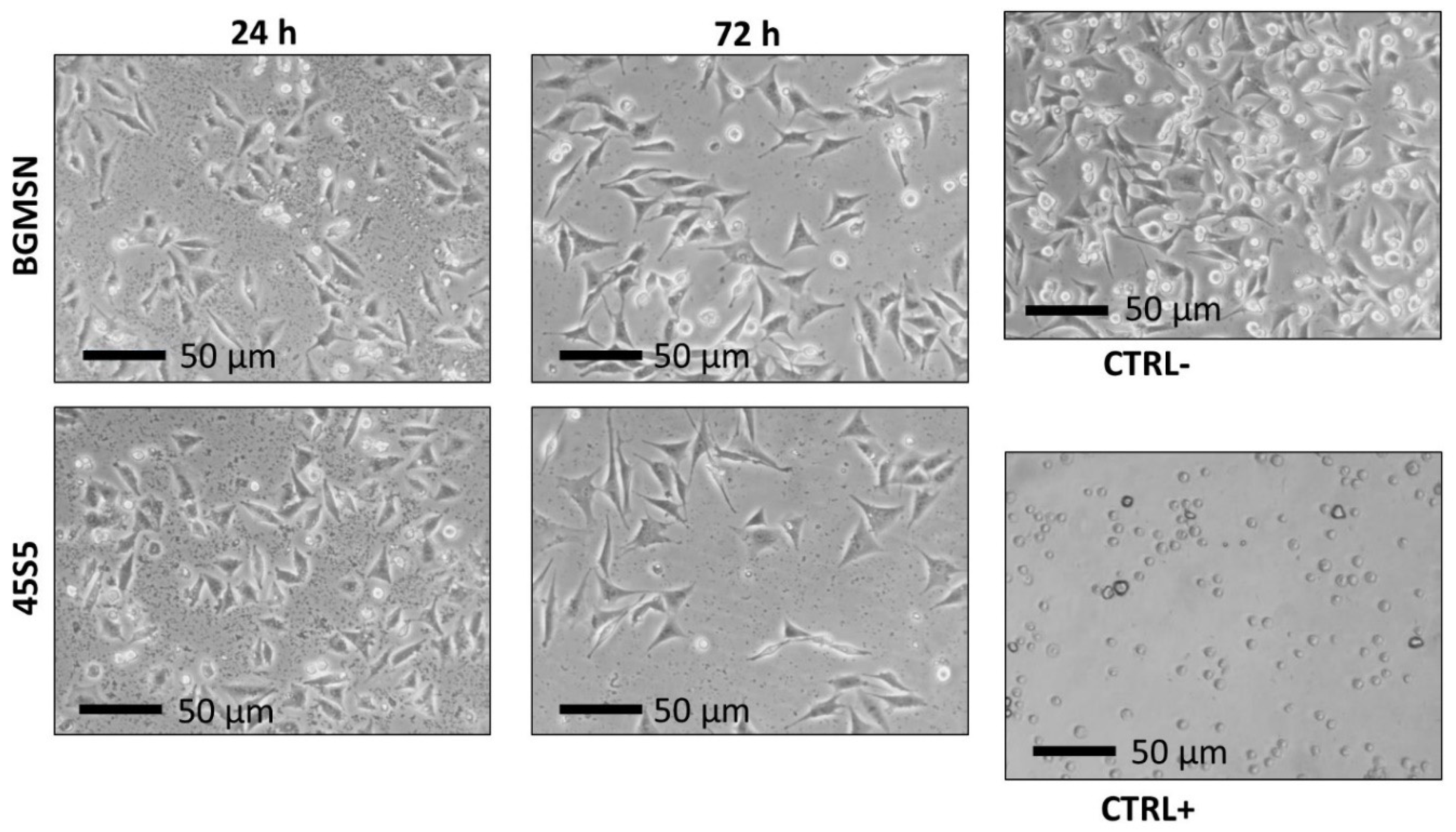 Materials 13 04600 g006