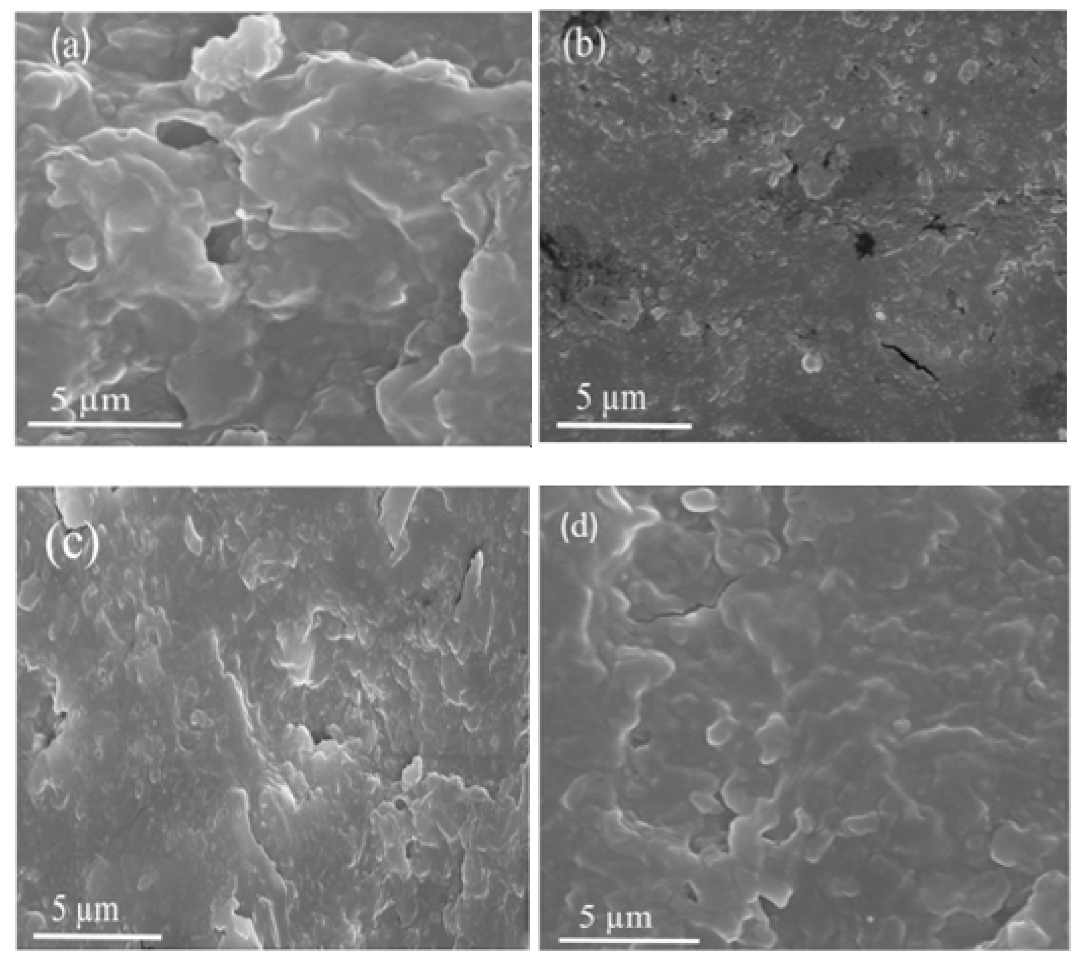 Materials 13 04602 g004