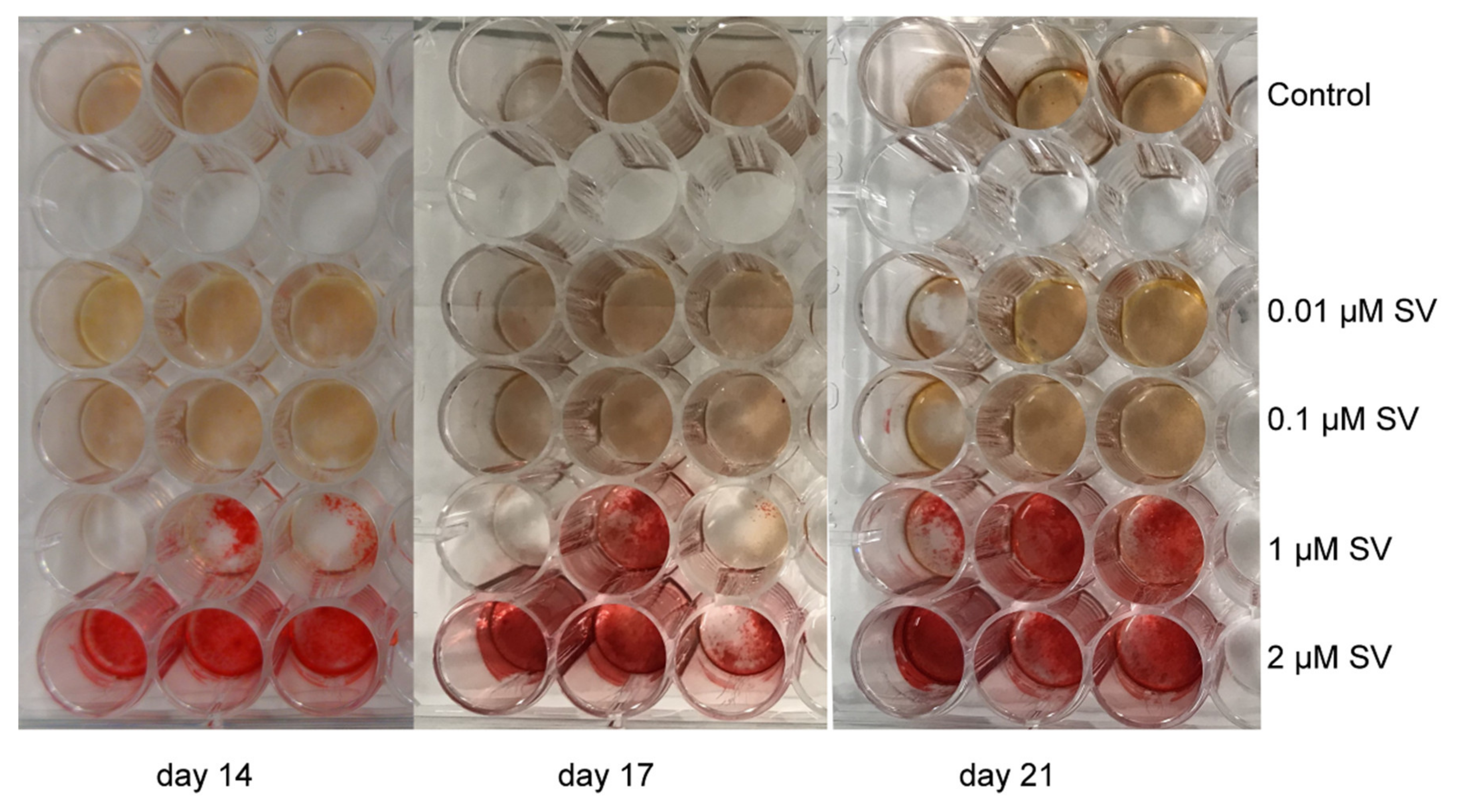 Materials 13 04679 g005