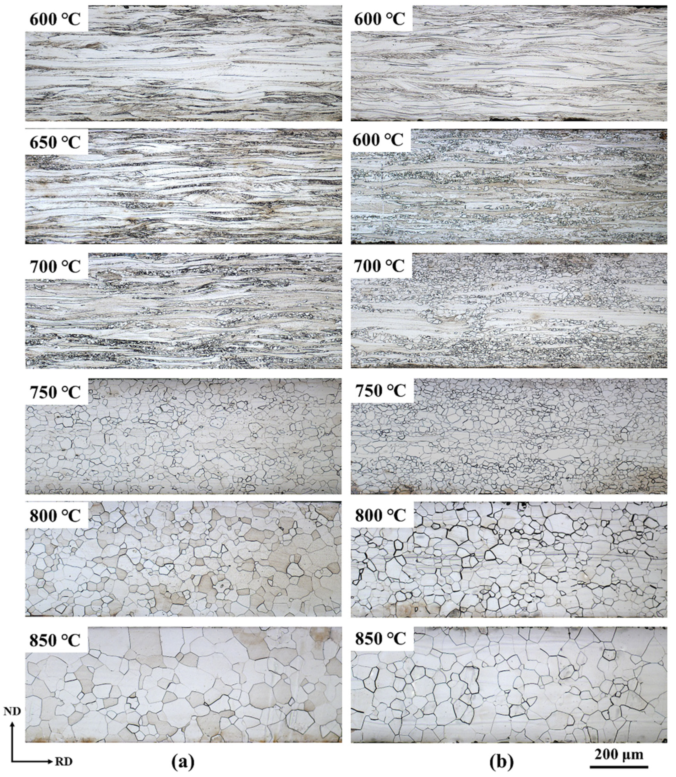 Materials 13 04696 g003 Materials 13 04696 g003