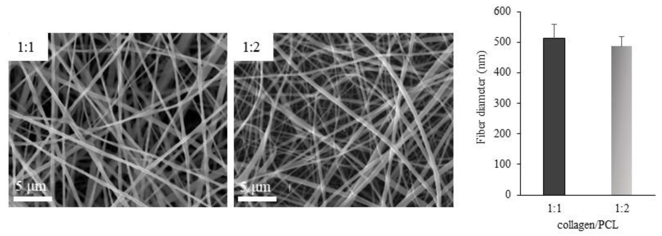 Materials 13 04698 g005 Materials 13 04698 g005