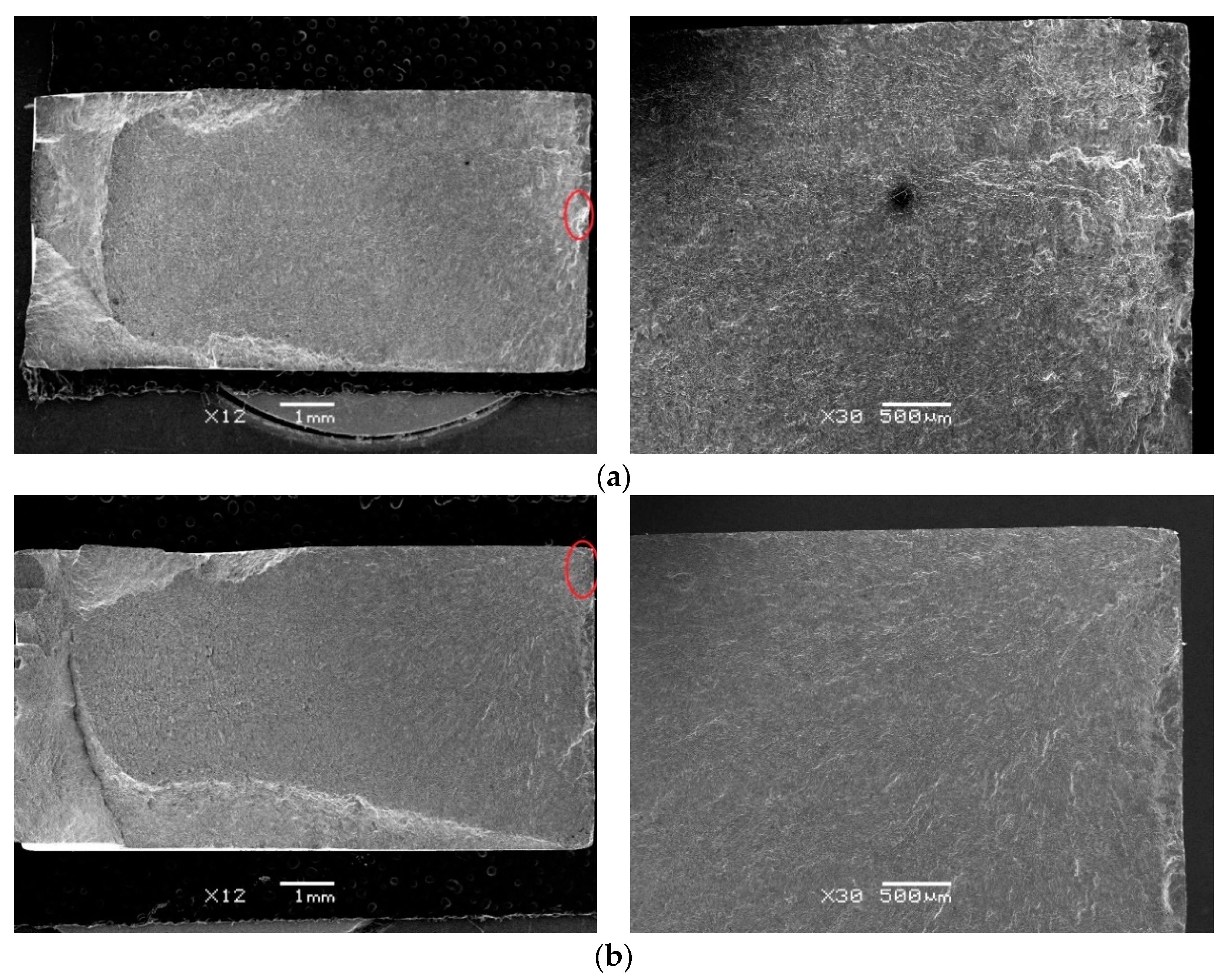 Materials 13 04711 g018a Materials 13 04711 g018a