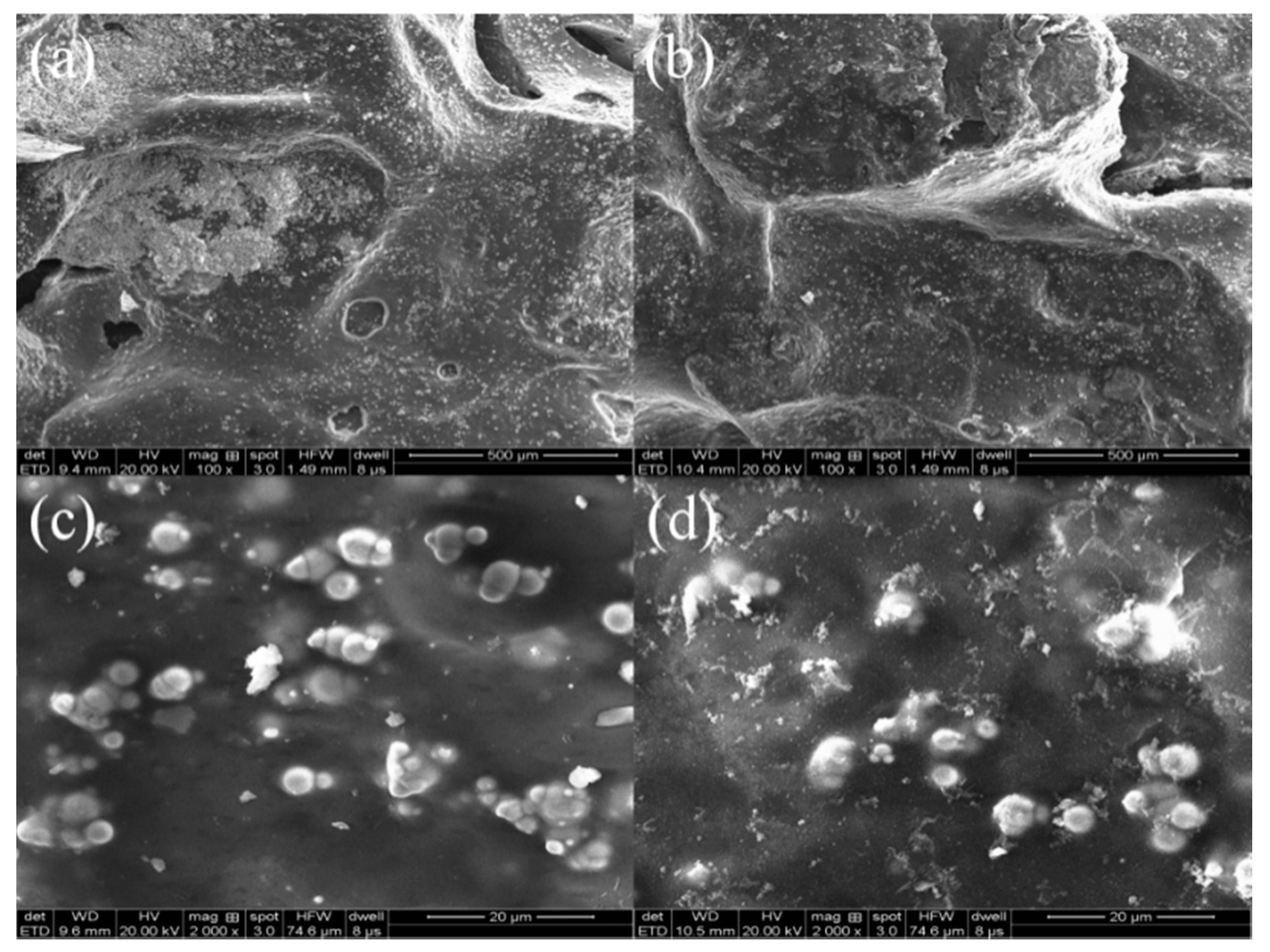 Materials 13 04739 g009 Materials 13 04739 g009