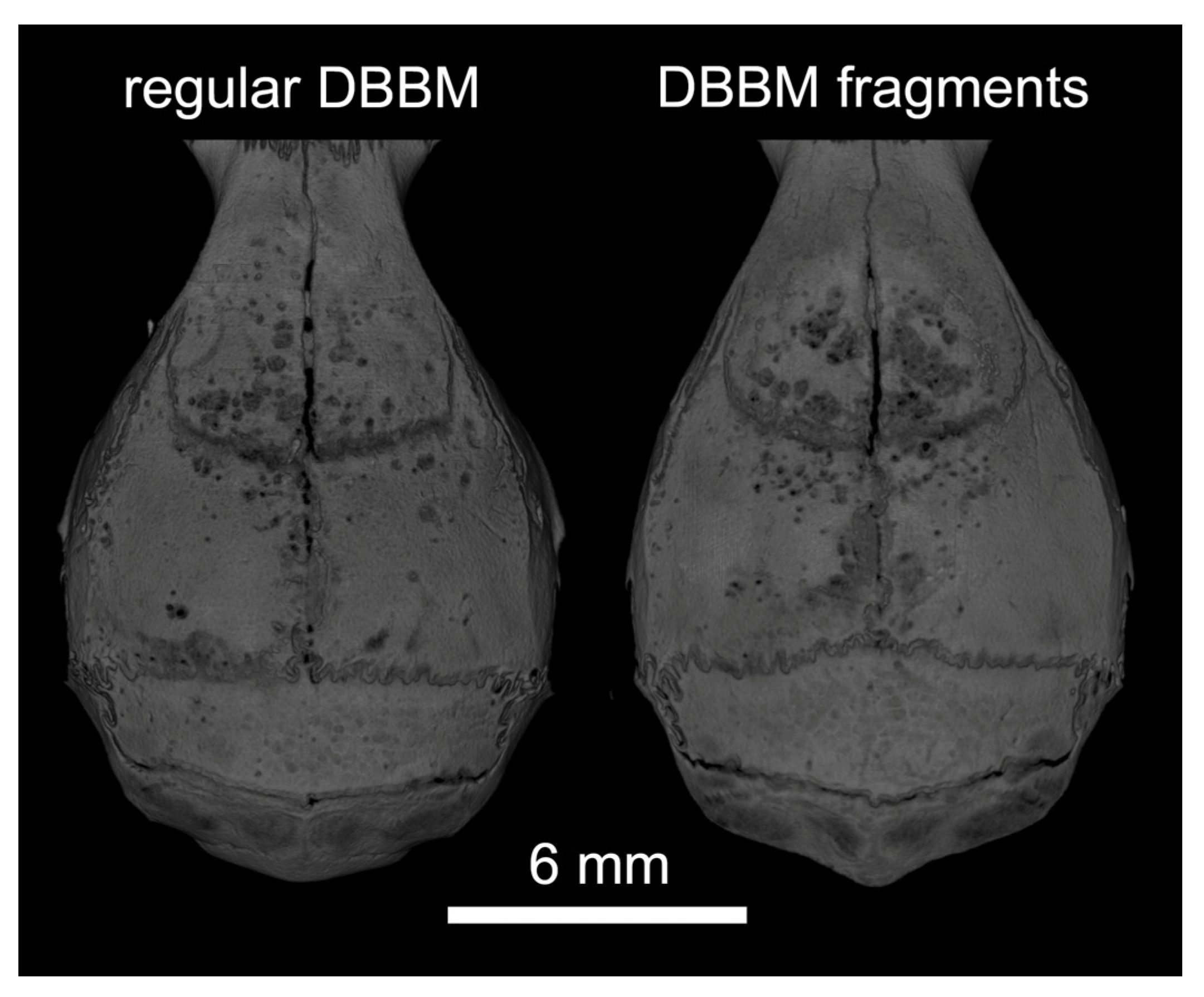 Materials 13 04748 g001 Materials 13 04748 g001