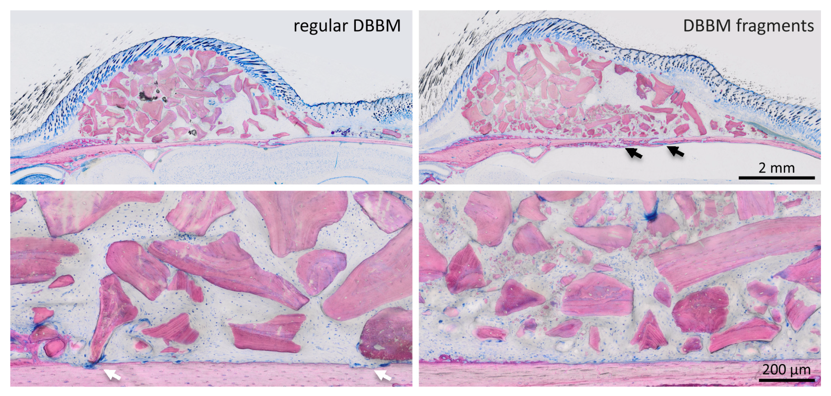 Materials 13 04748 g003 Materials 13 04748 g003