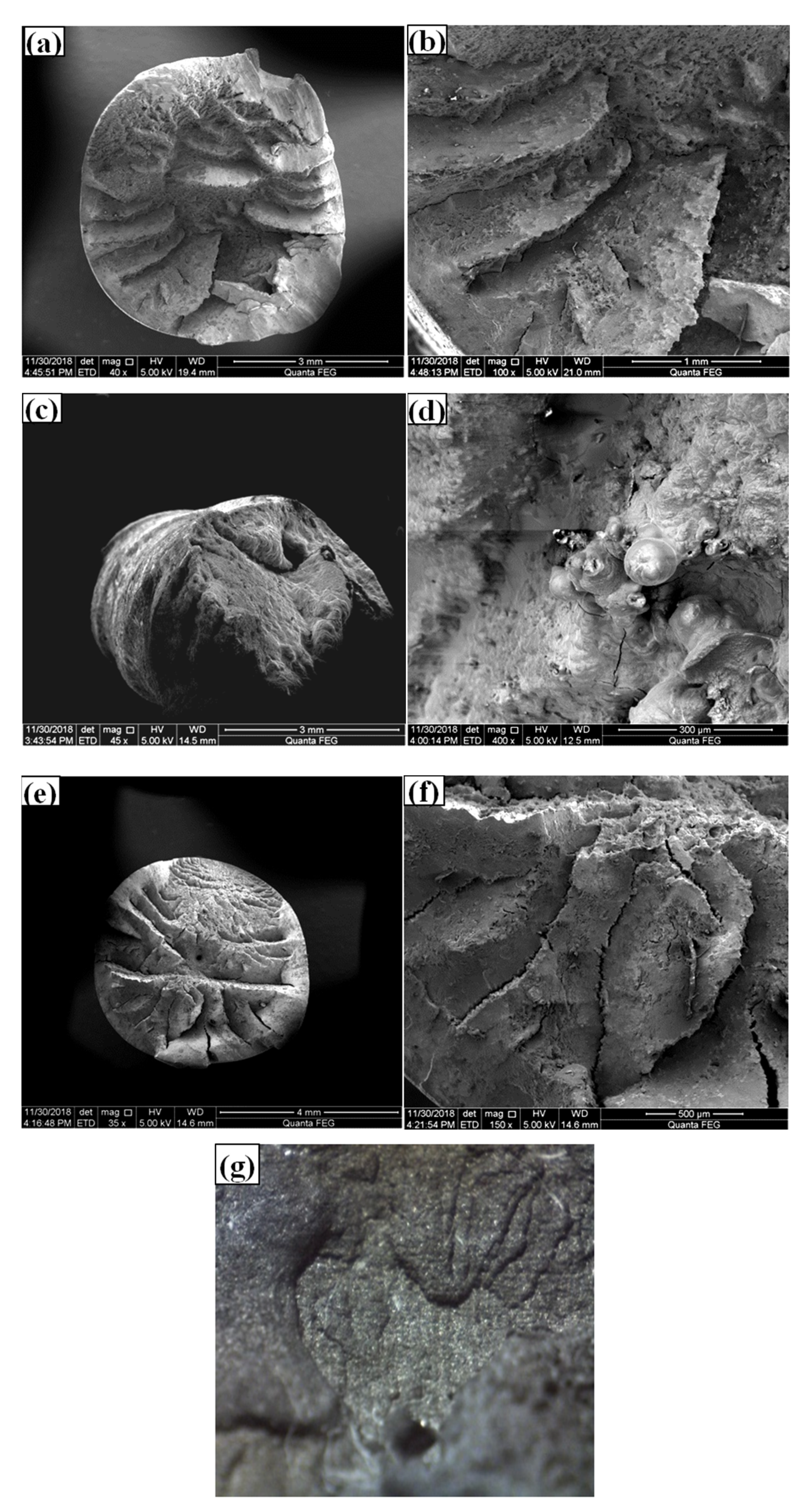Materials 13 04790 g007