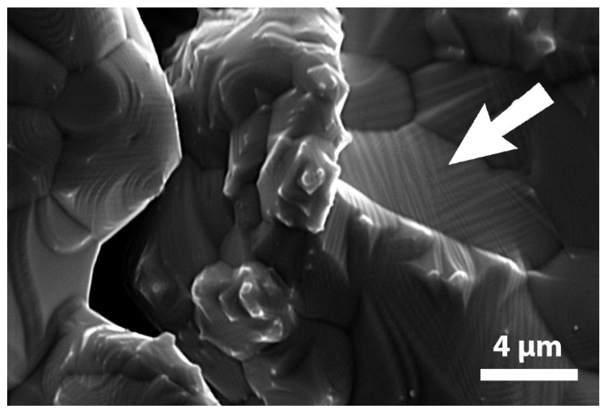 Materials 13 04806 g003