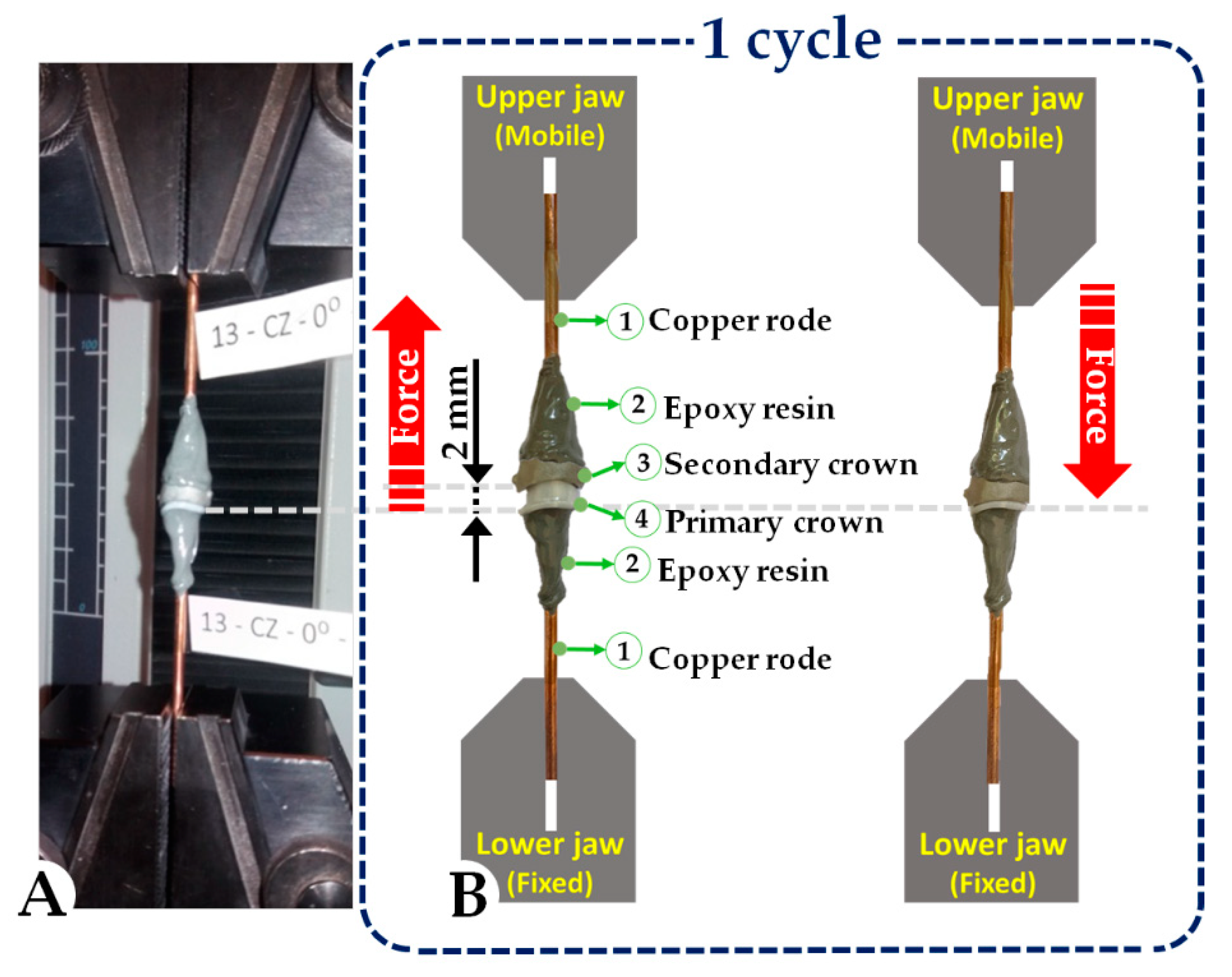 Materials 13 04814 g003