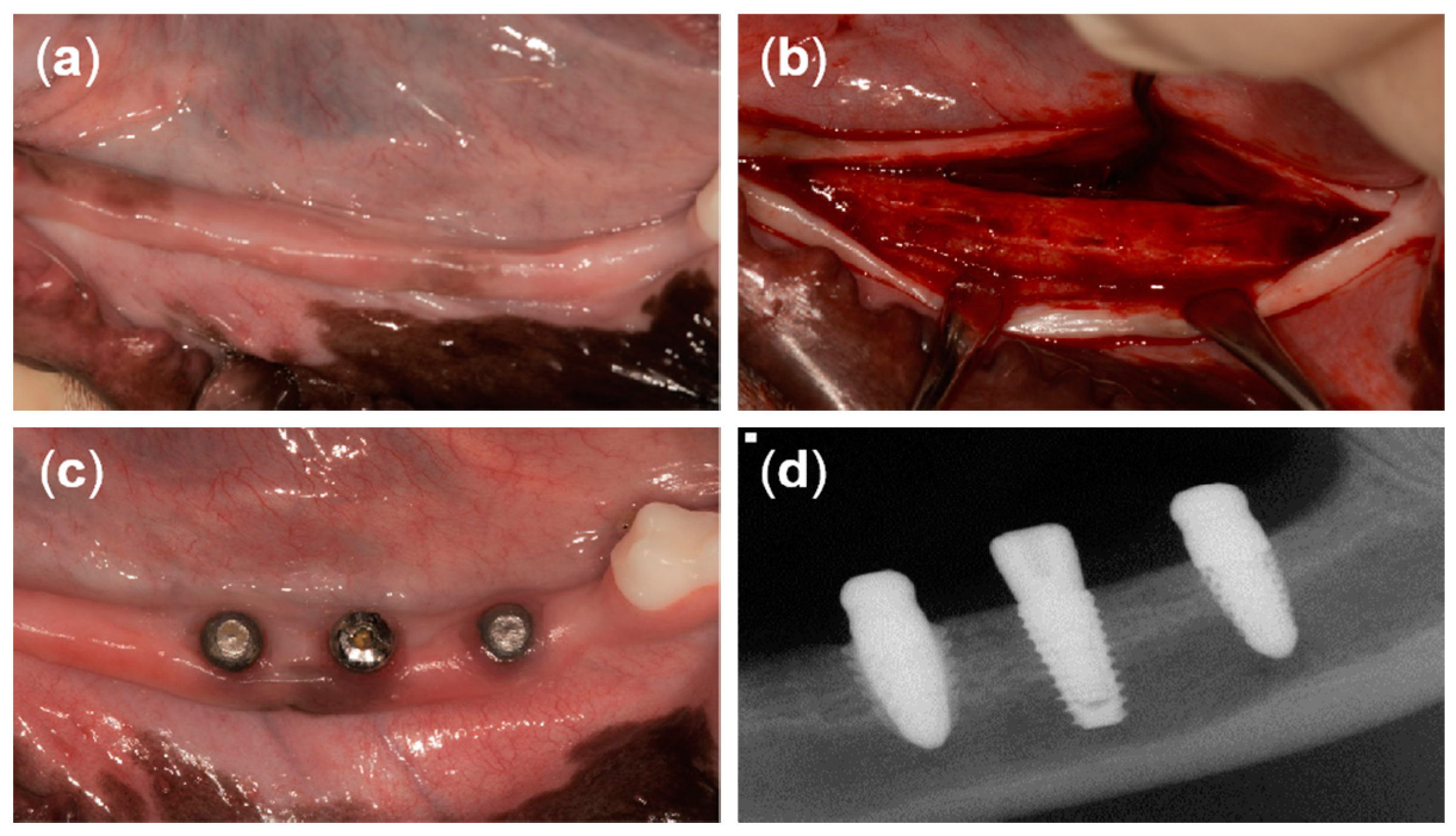 Materials 13 04815 g004 Materials 13 04815 g004