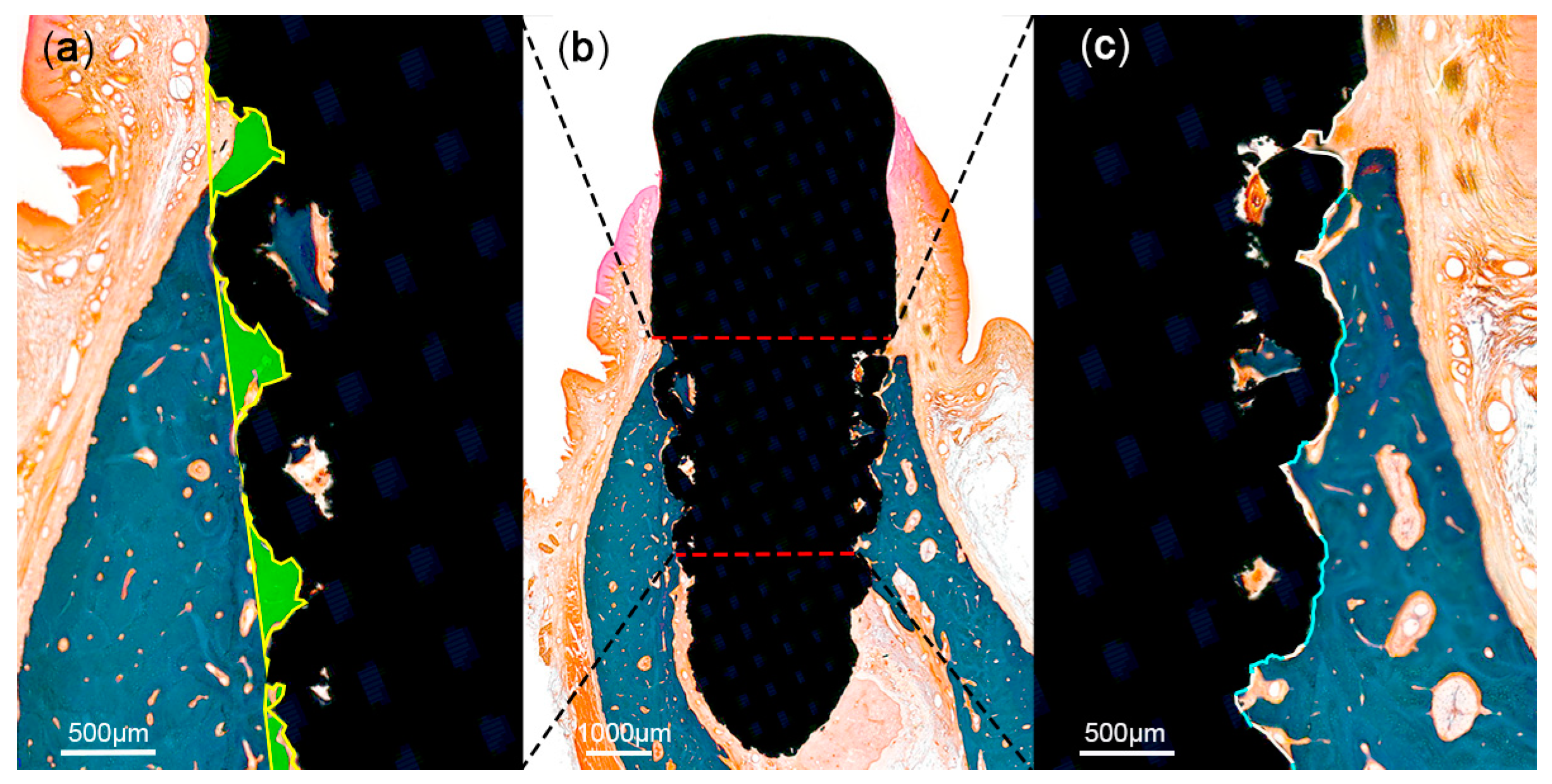 Materials 13 04815 g005 Materials 13 04815 g005