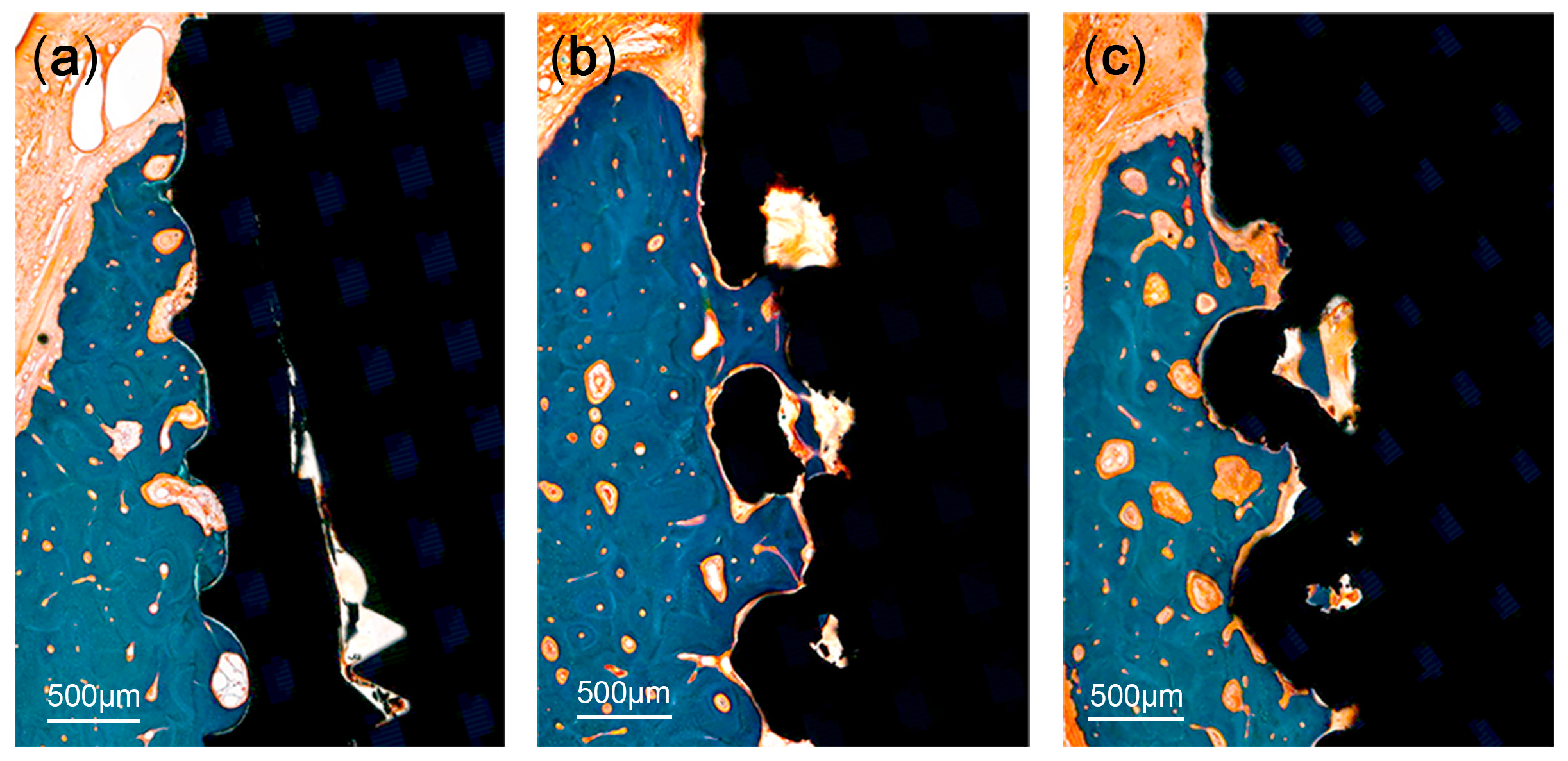 Materials 13 04815 g006 Materials 13 04815 g006