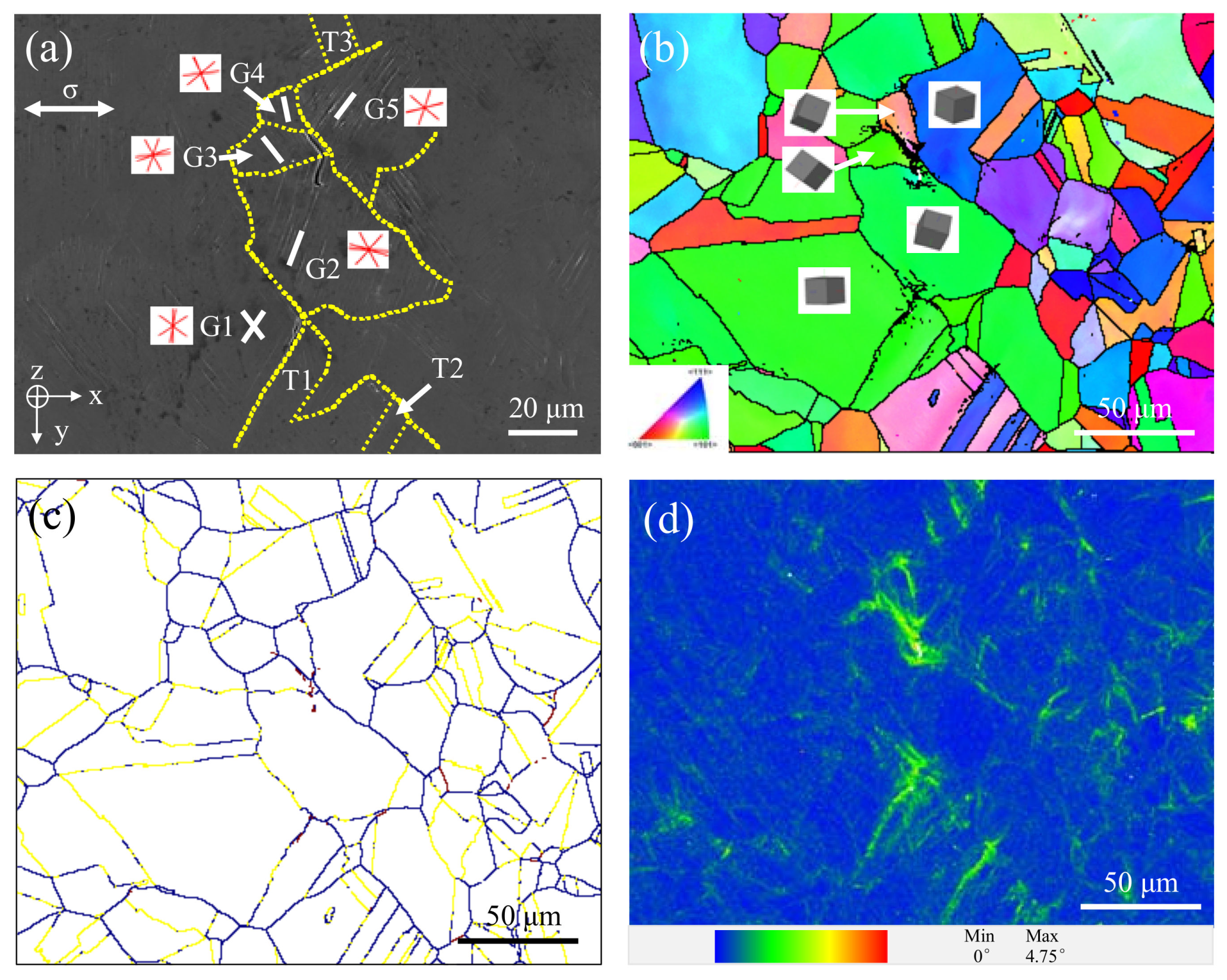 Materials 13 04820 g009