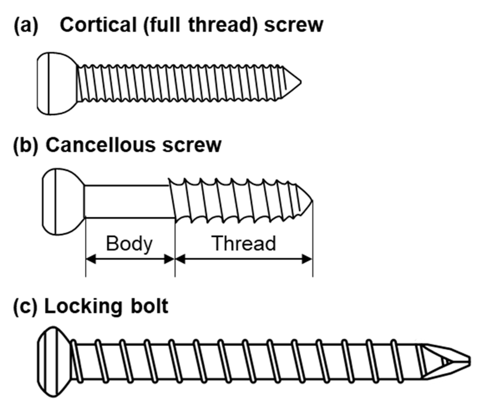 Materials 13 04836 g001