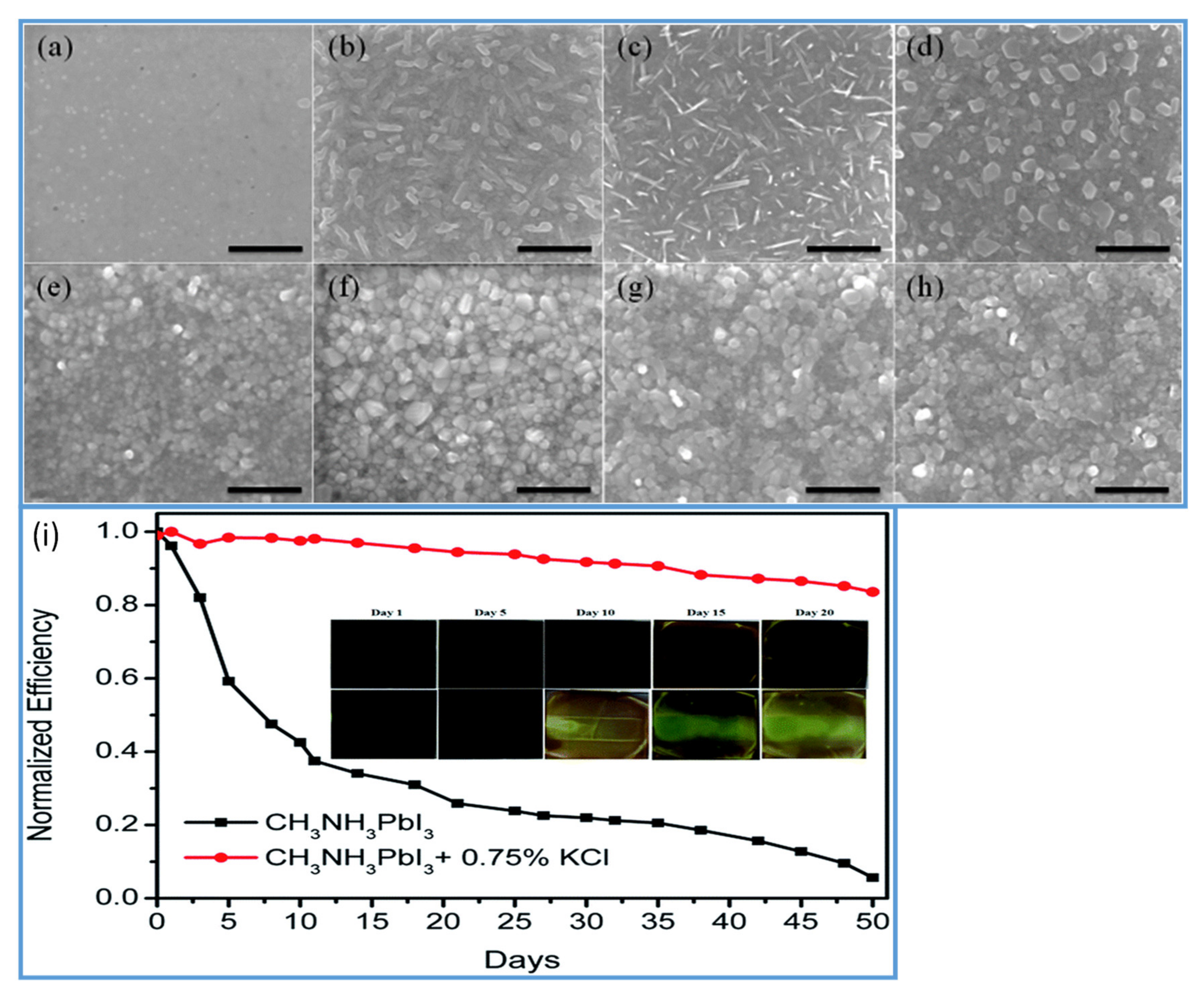 Materials 13 04851 g004 Materials 13 04851 g004