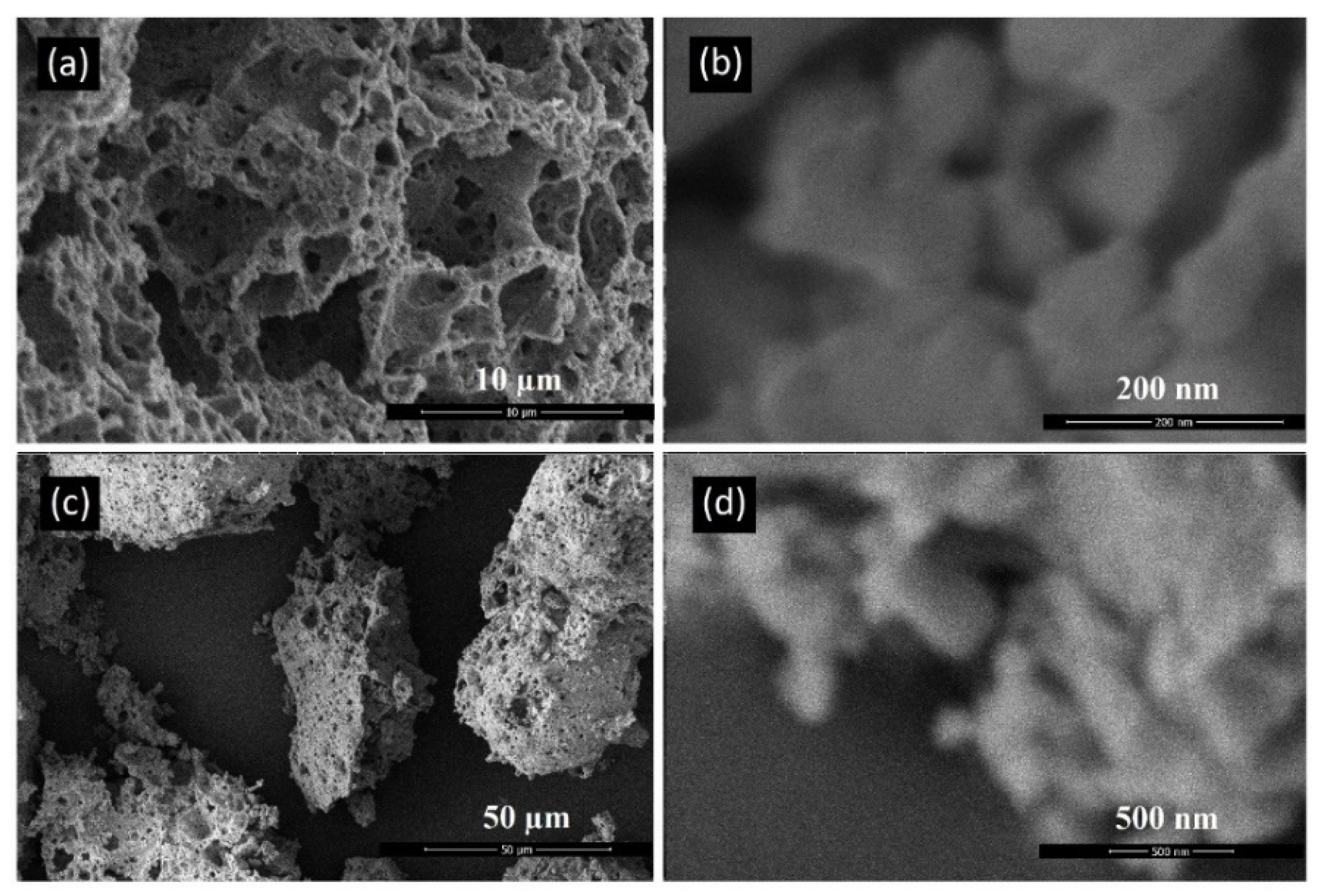 Materials 13 04887 g005 Materials 13 04887 g005