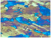 Materials 13 04982 i001 Materials 13 04982 i001