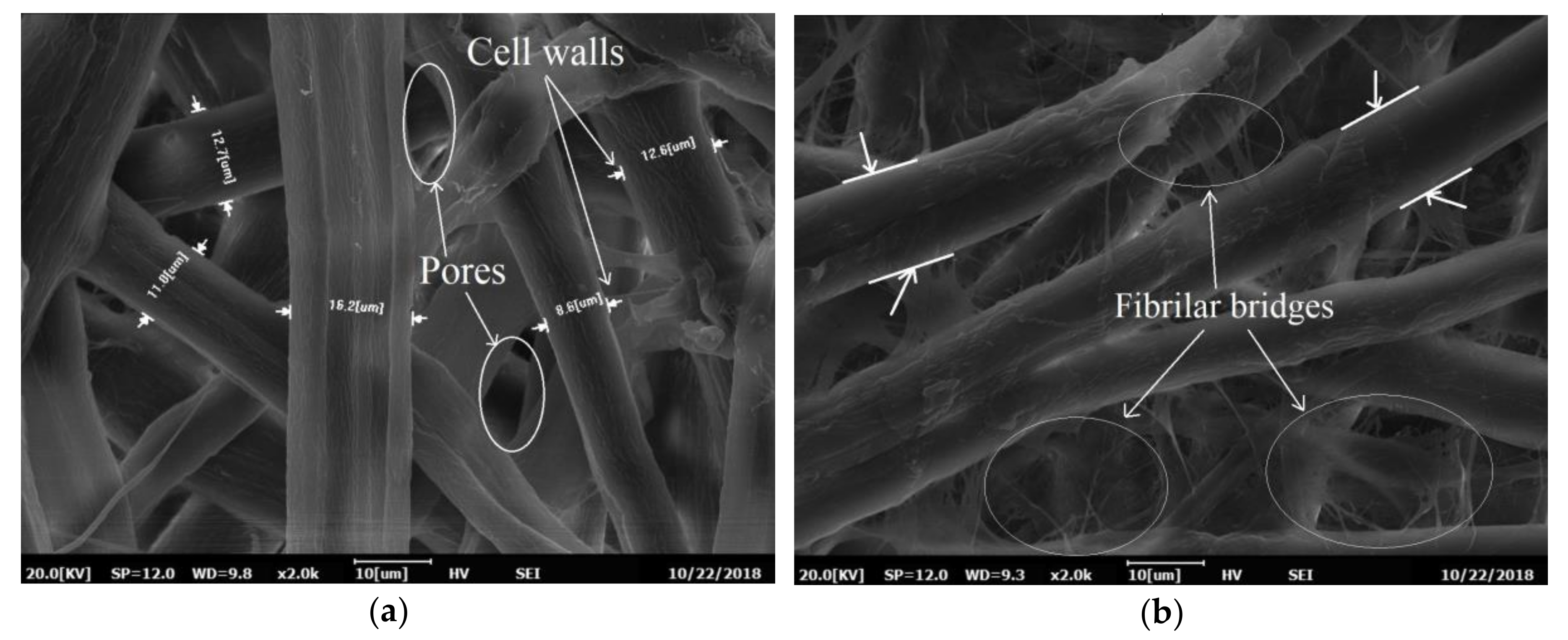 Materials 13 05002 g014