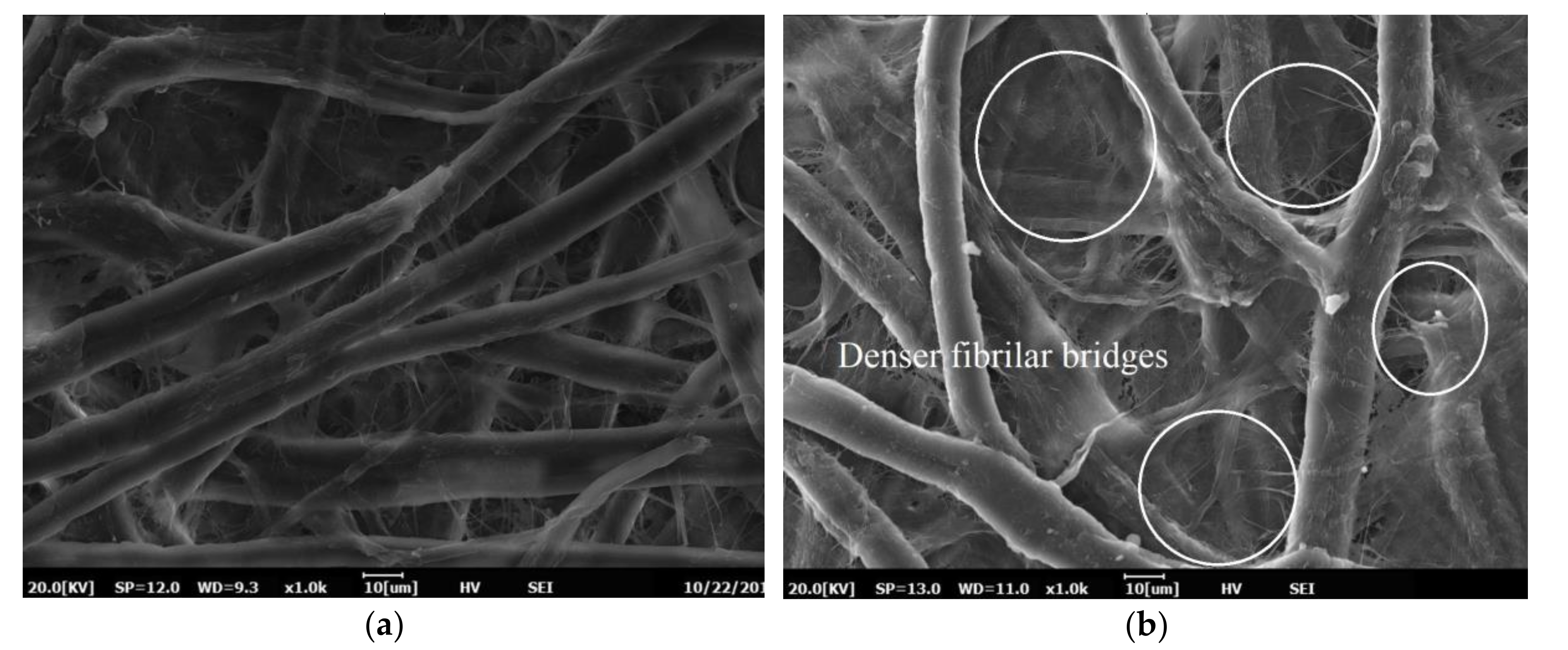 Materials 13 05002 g016