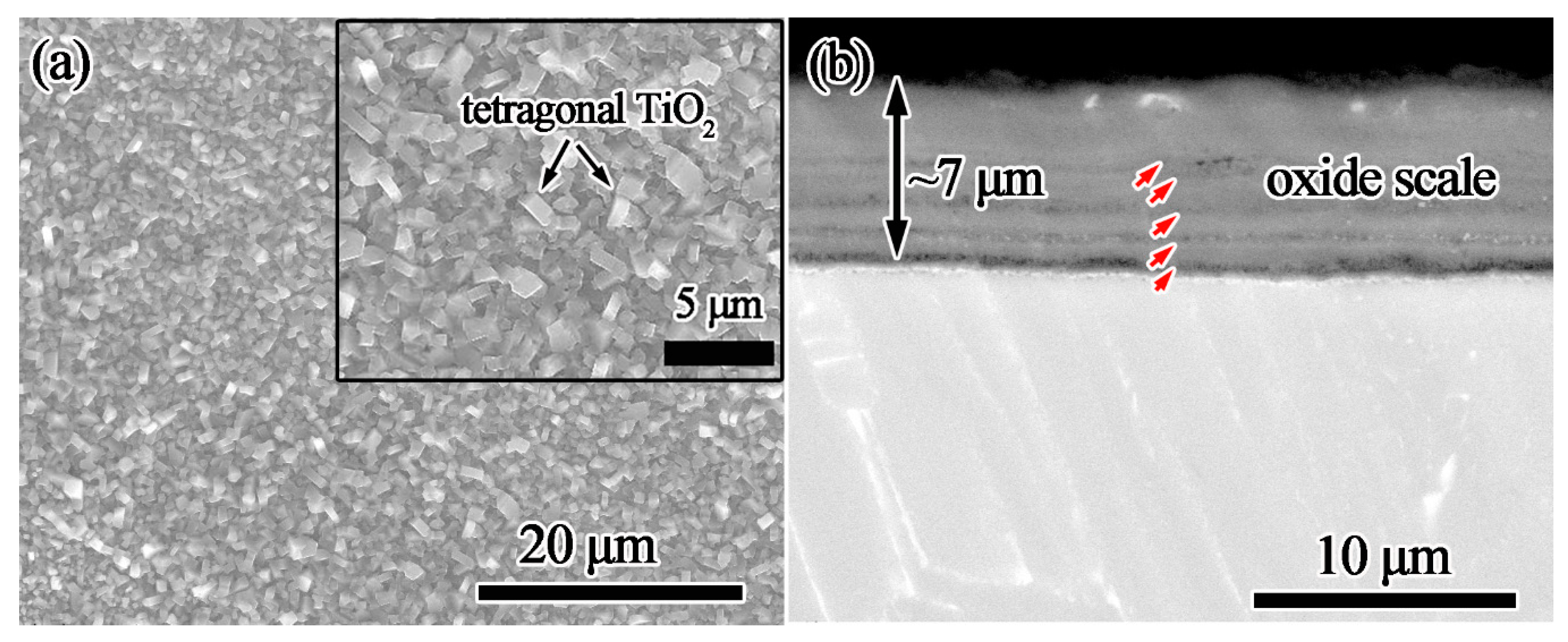 Materials 13 05085 g004