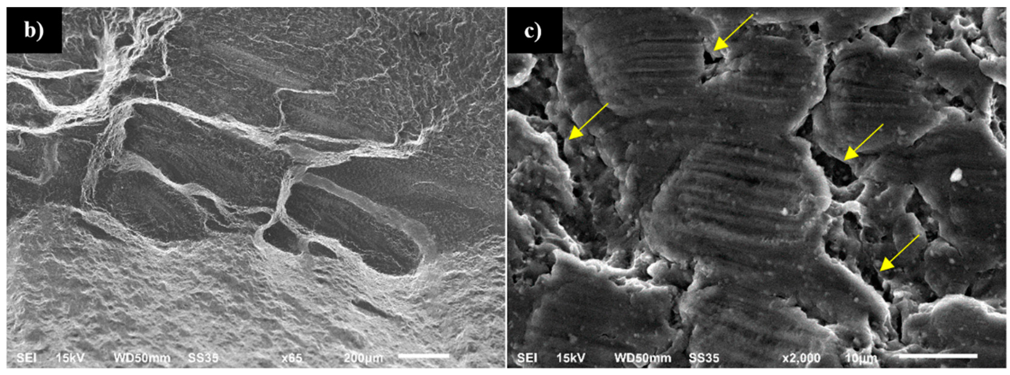 Materials 13 05226 g017b