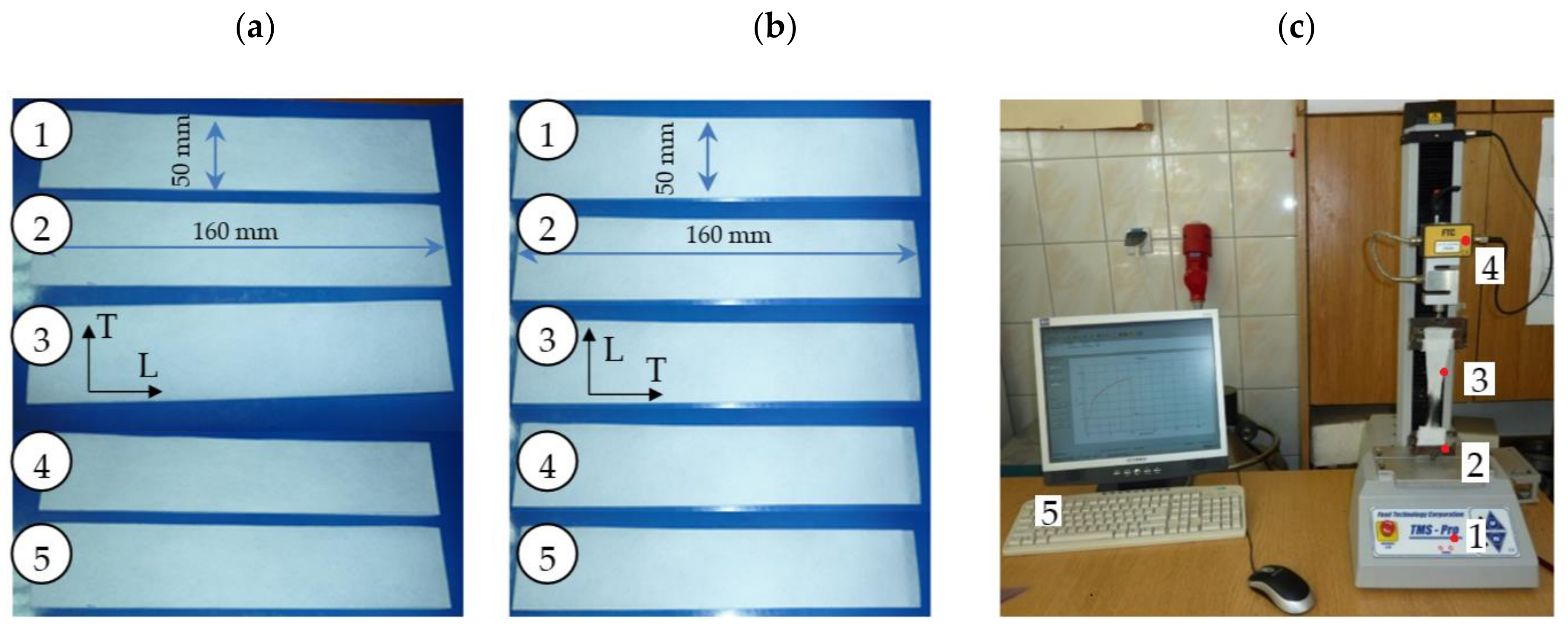 Materials 13 05245 g002