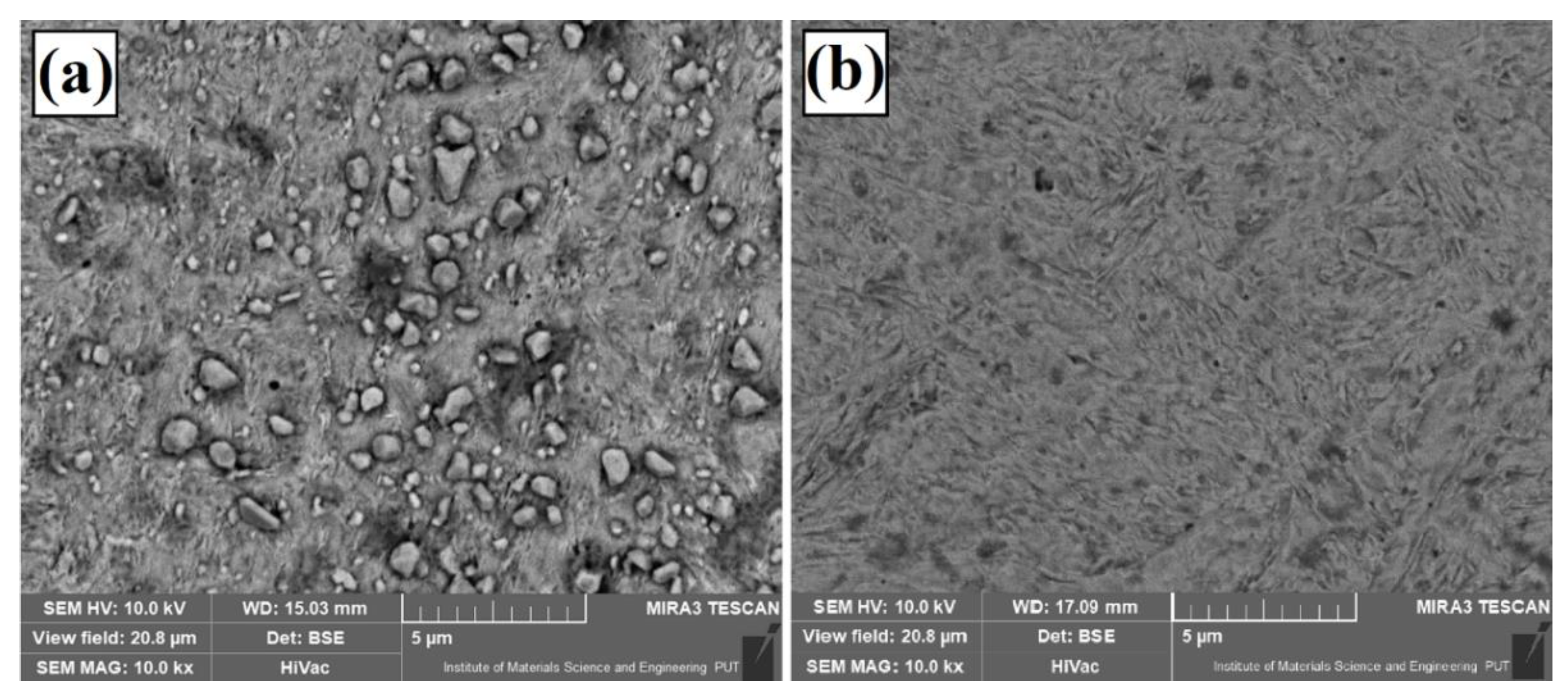 Materials 13 05272 g013 Materials 13 05272 g013